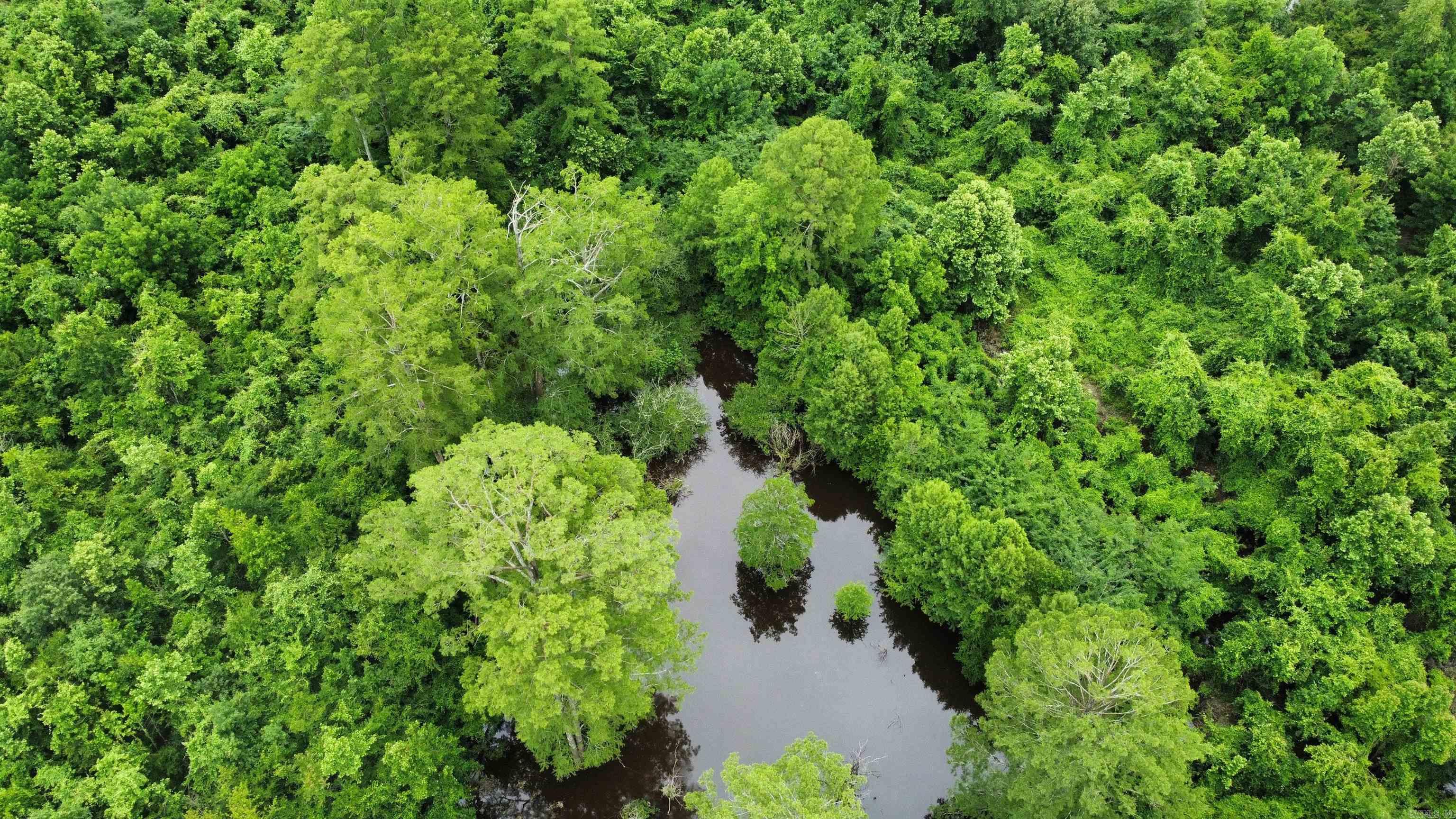 850 Vince Bluff  New Edinburg, AR