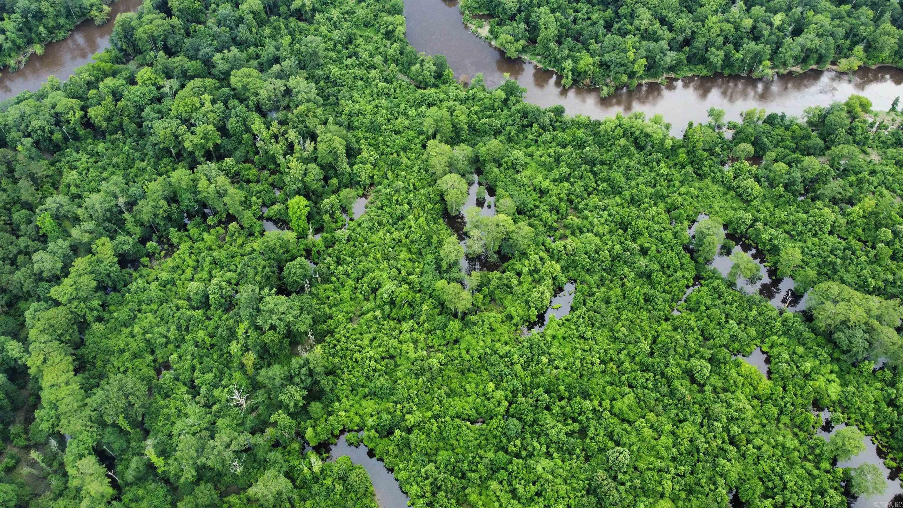 850 Vince Bluff  New Edinburg, AR