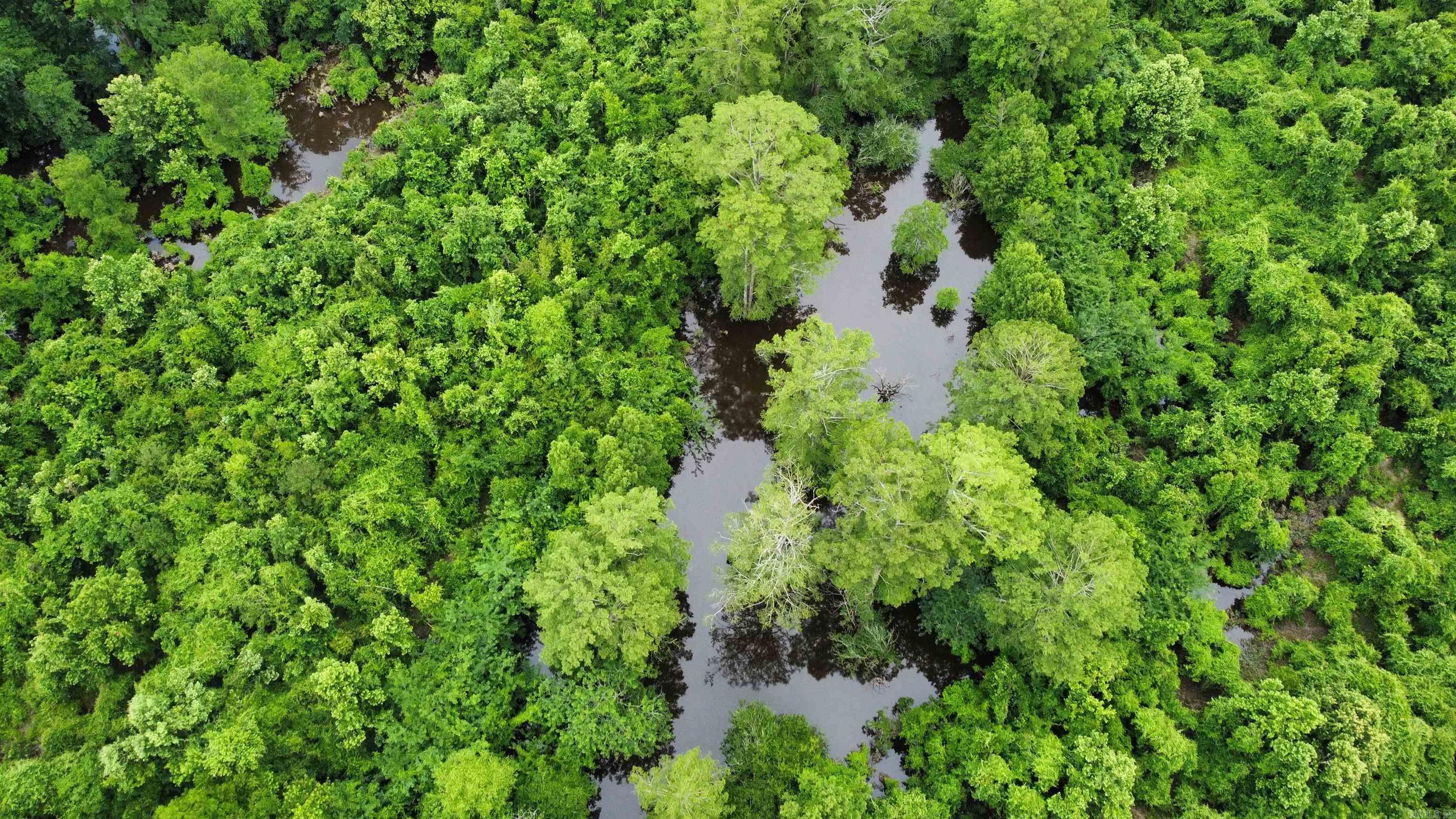 850 Vince Bluff  New Edinburg, AR