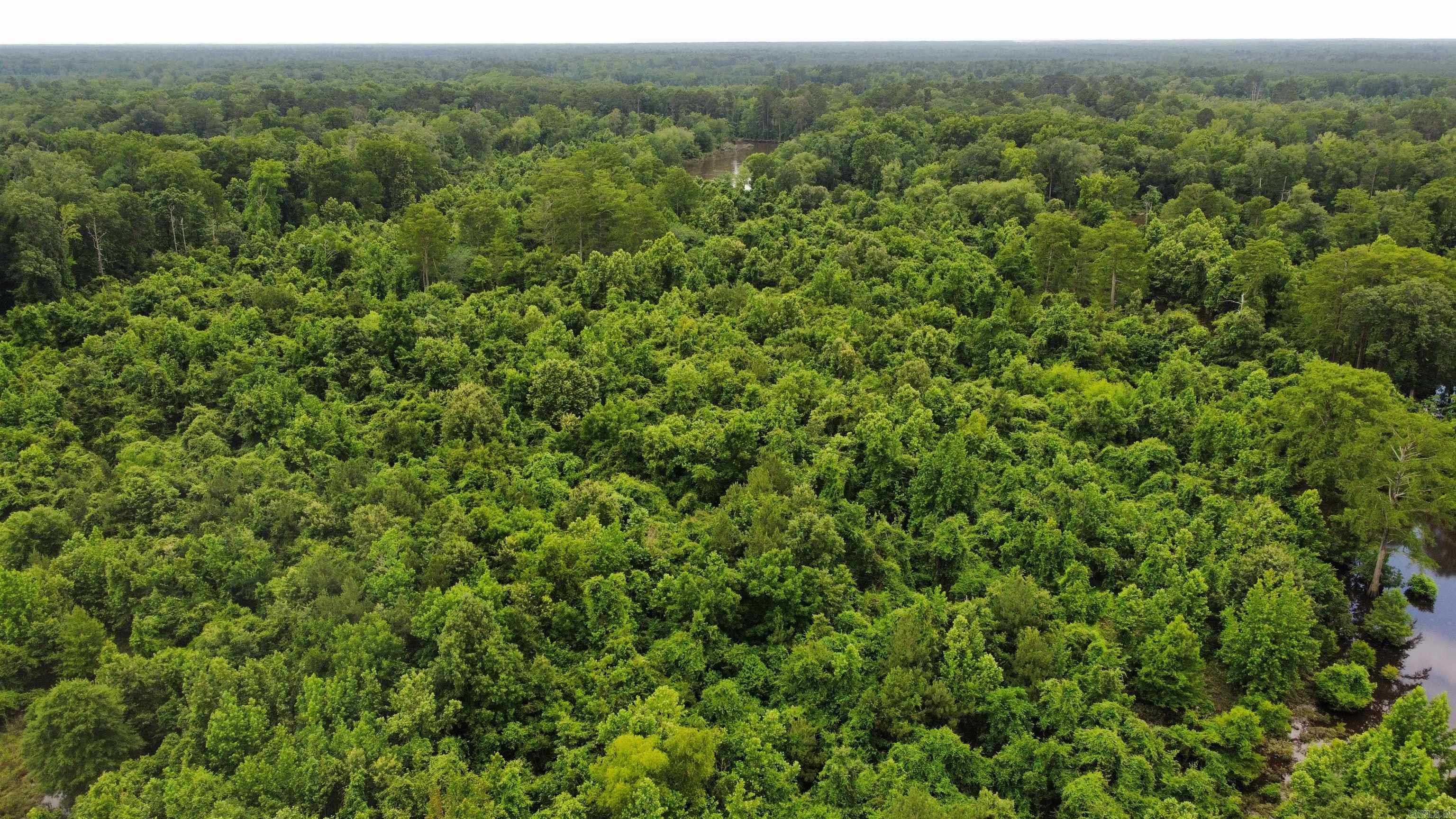 850 Vince Bluff  New Edinburg, AR