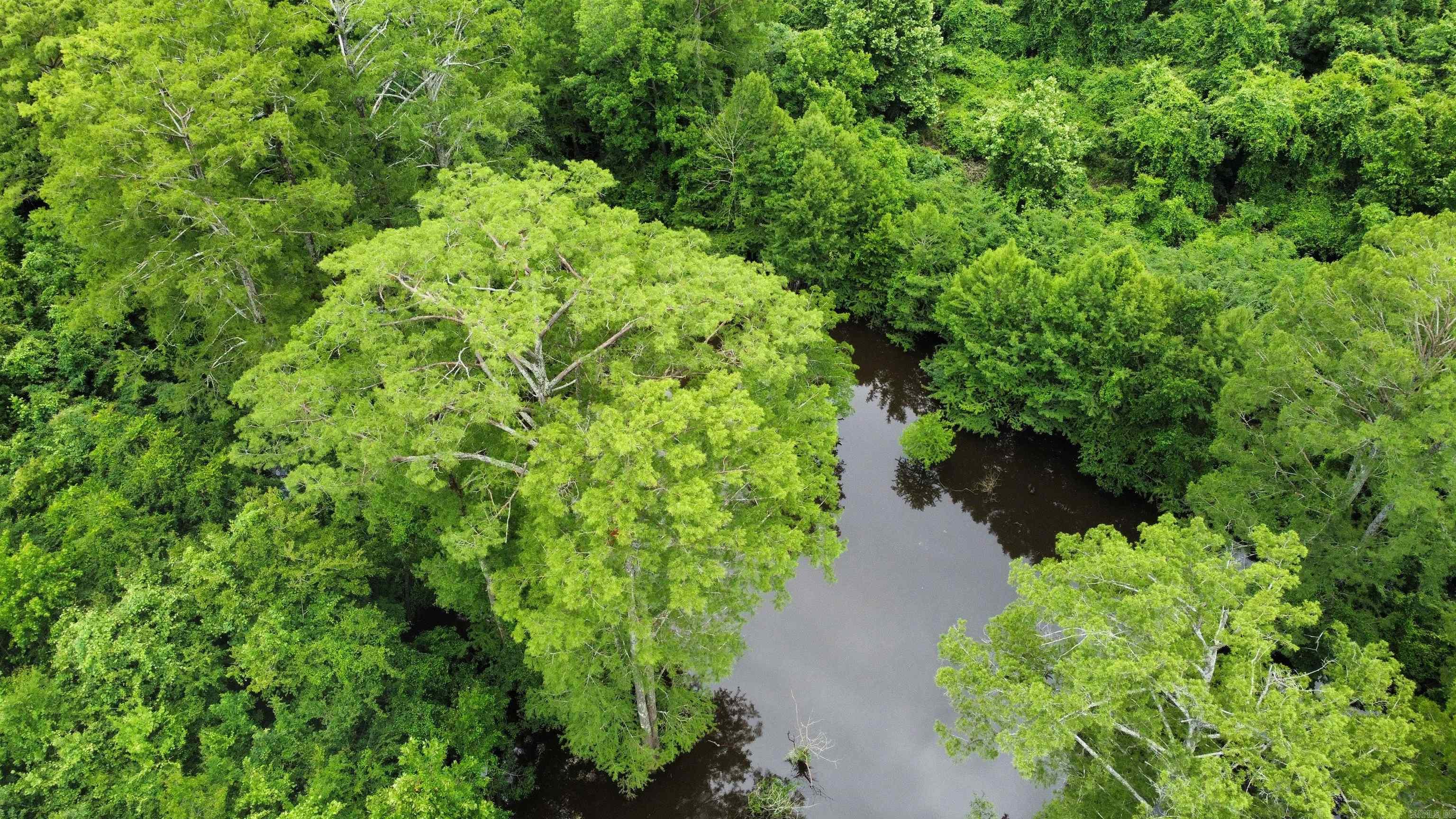 850 Vince Bluff  New Edinburg, AR