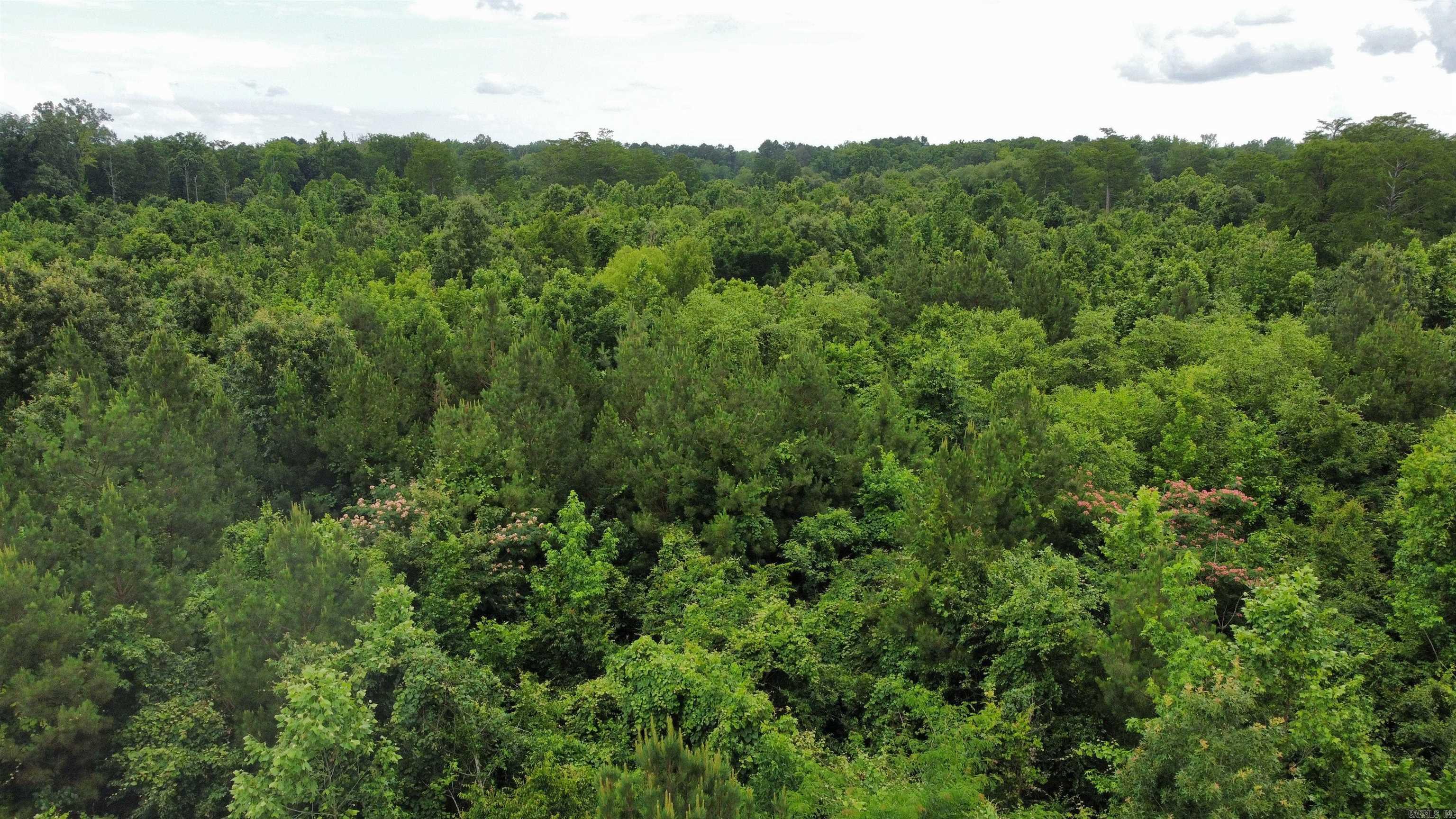 850  Vince Bluff  New Edinburg, AR