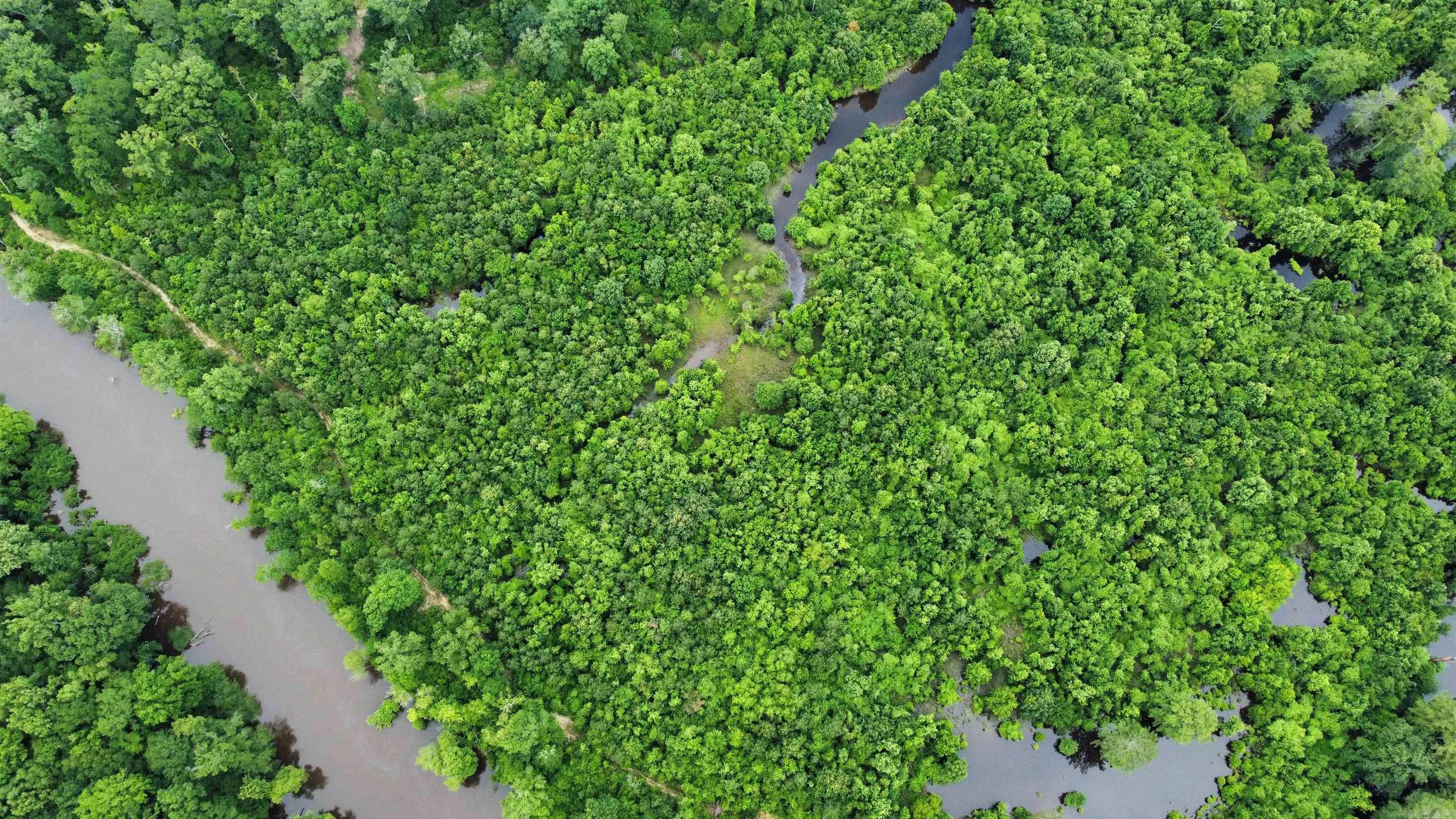 850 Vince Bluff  New Edinburg, AR