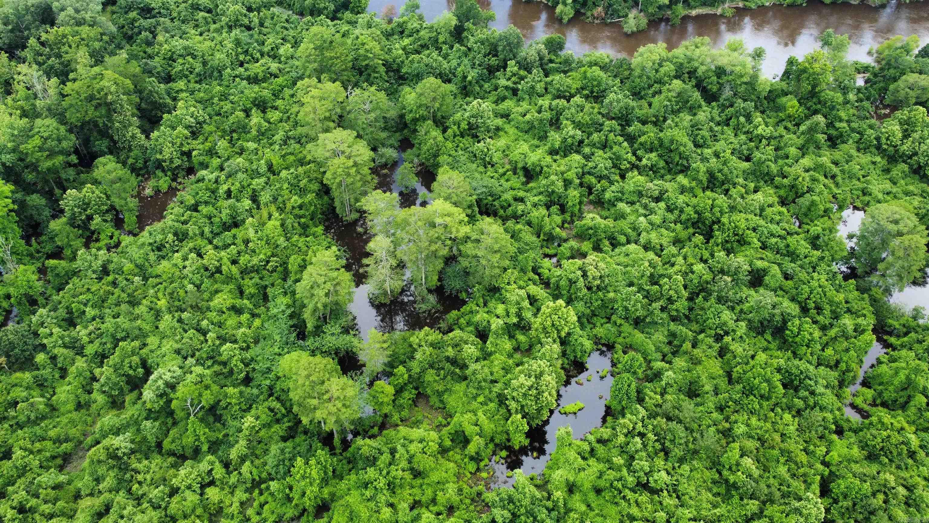 850 Vince Bluff  New Edinburg, AR