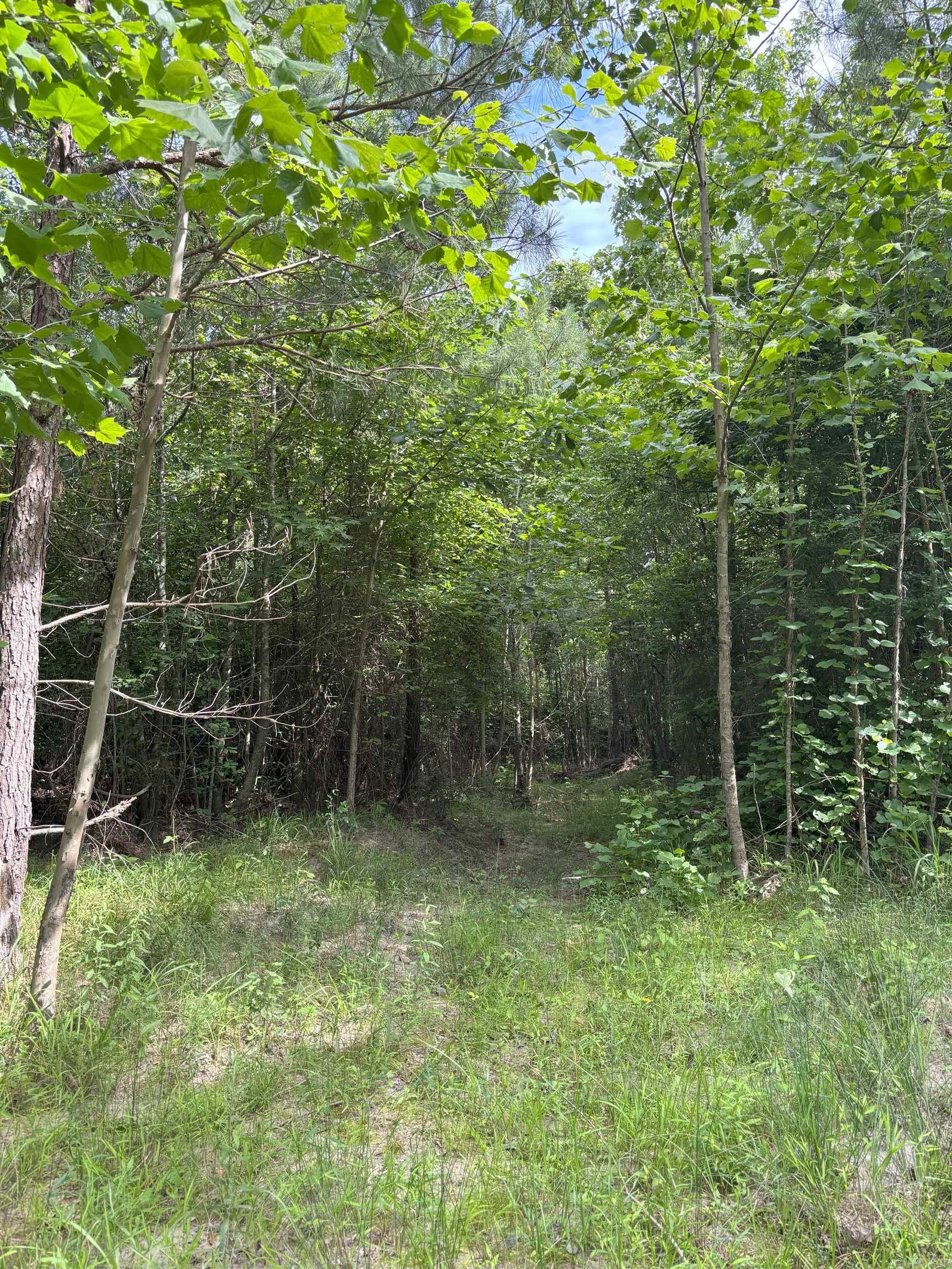 850  Vince Bluff  New Edinburg, AR
