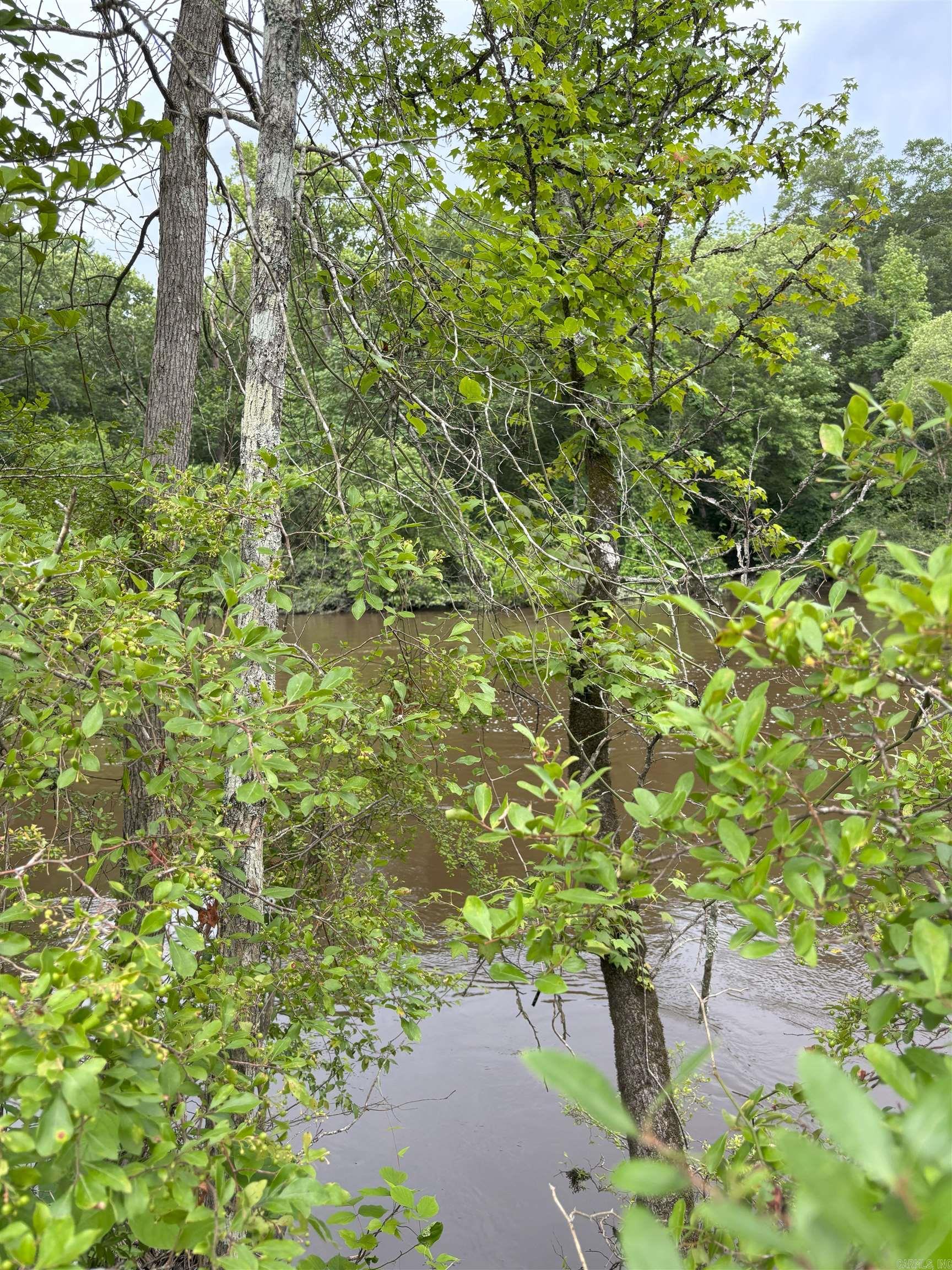 850 Vince Bluff  New Edinburg, AR