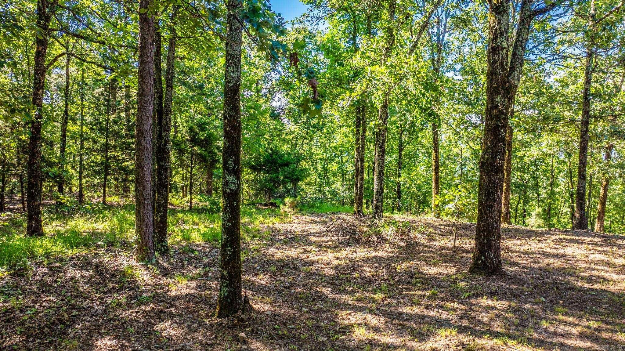 30  High Point  Mayflower, AR