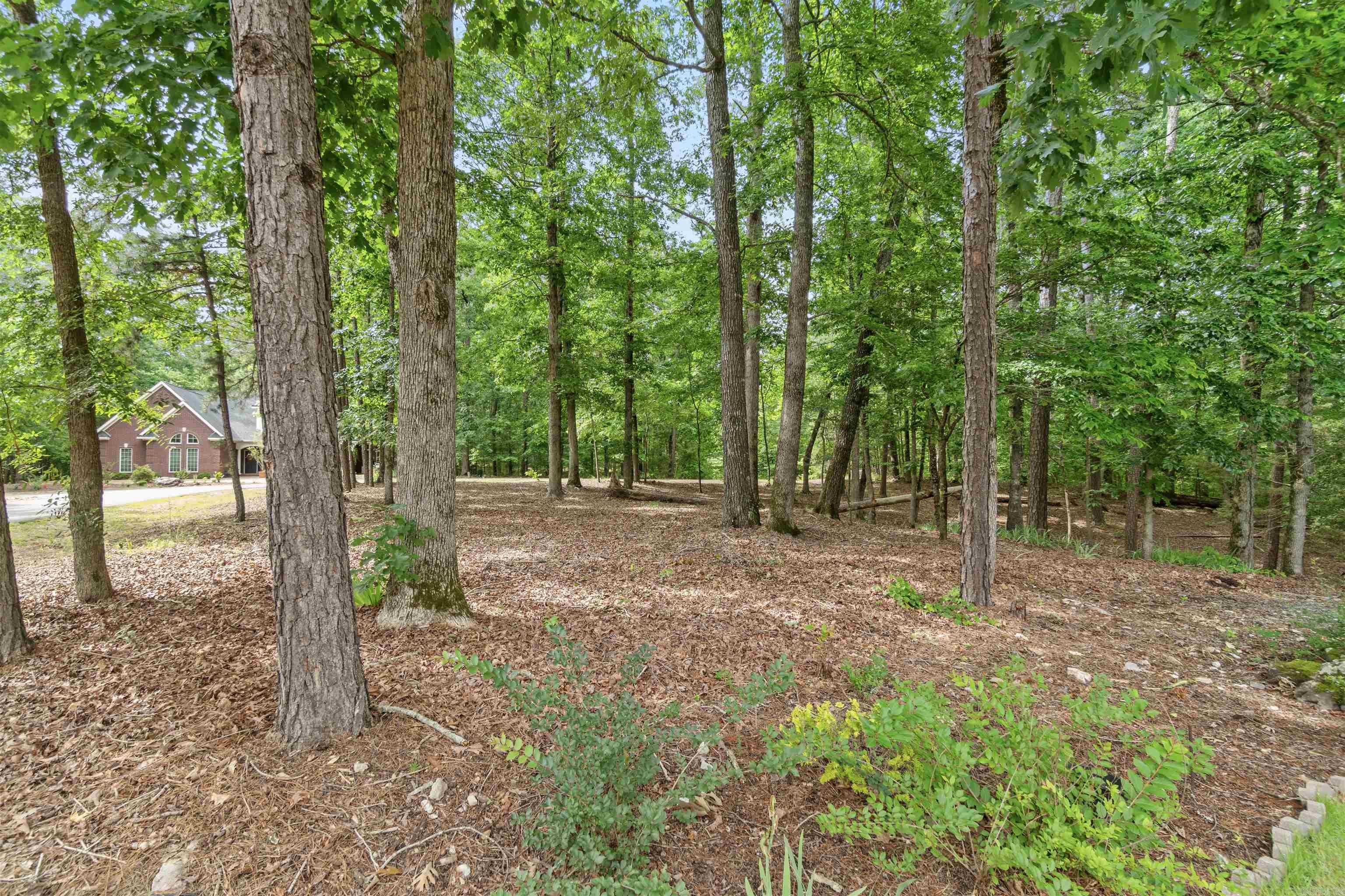 1  Sacedon  Hot Springs Village, AR
