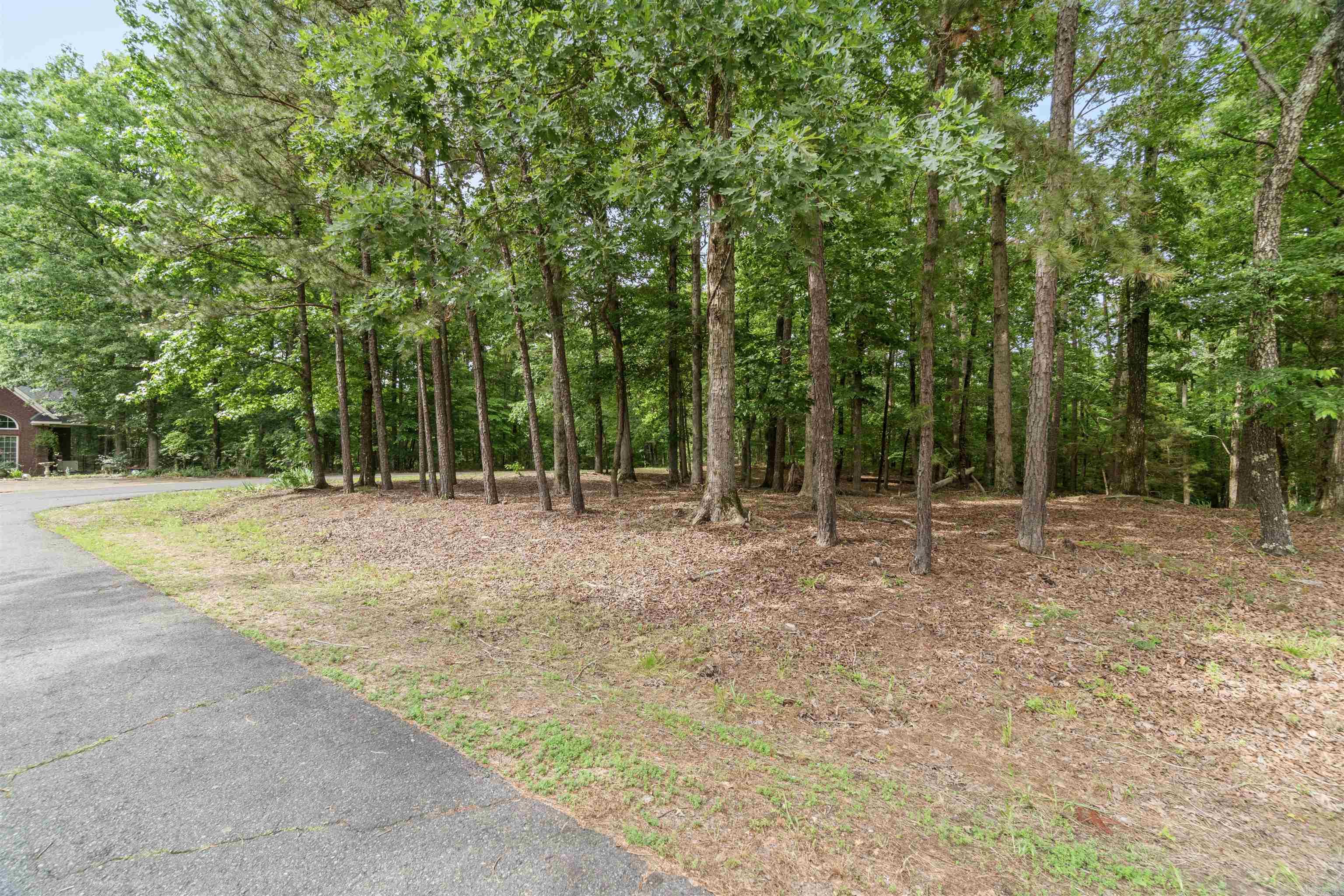 1  Sacedon  Hot Springs Village, AR