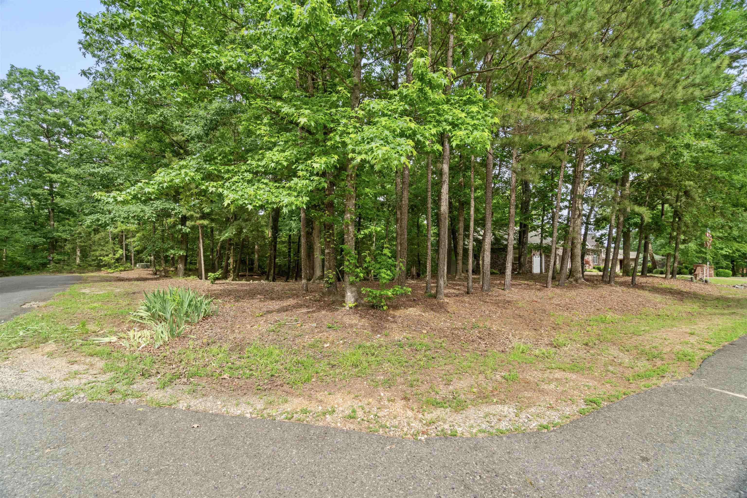 1  Sacedon  Hot Springs Village, AR