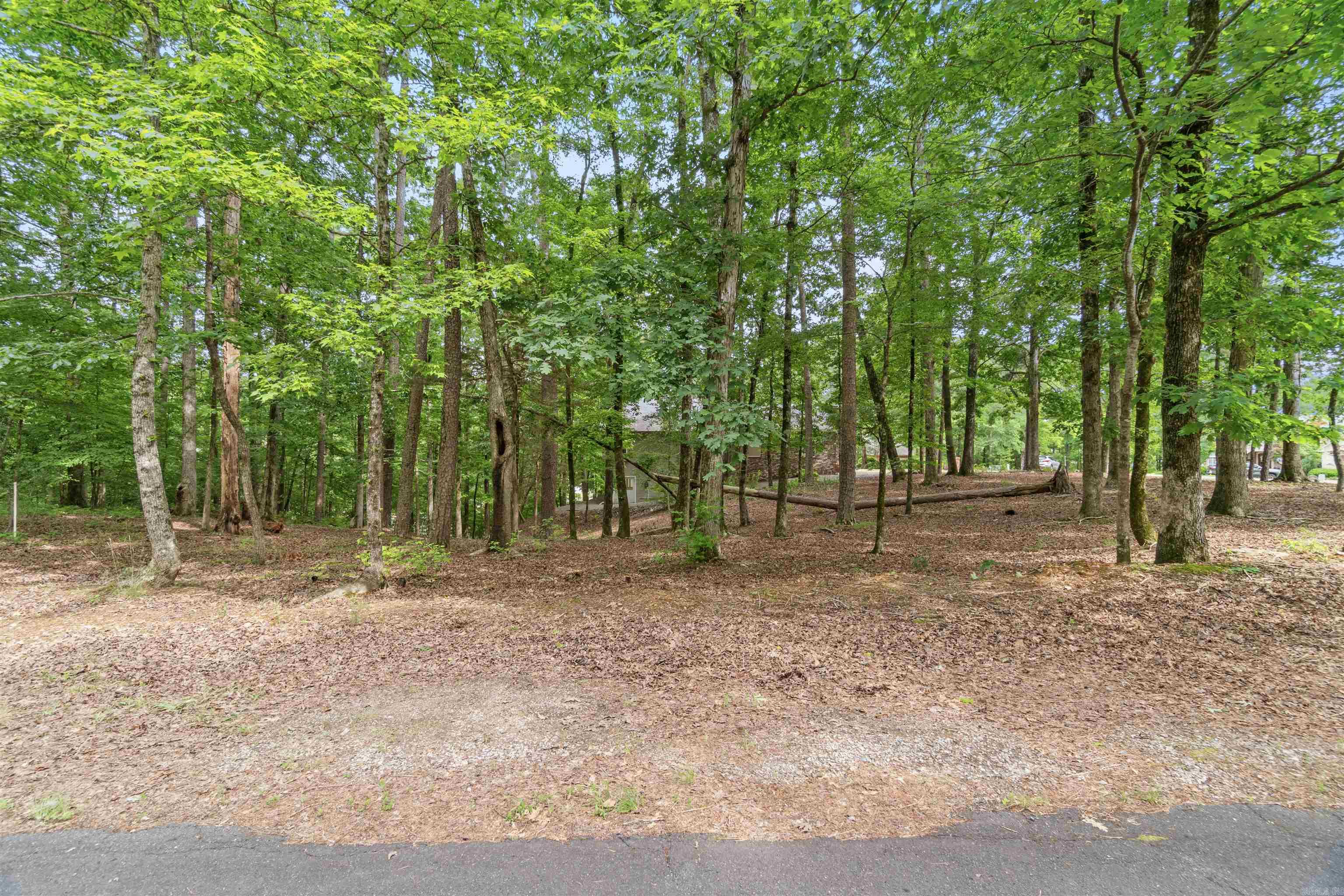 1  Sacedon  Hot Springs Village, AR