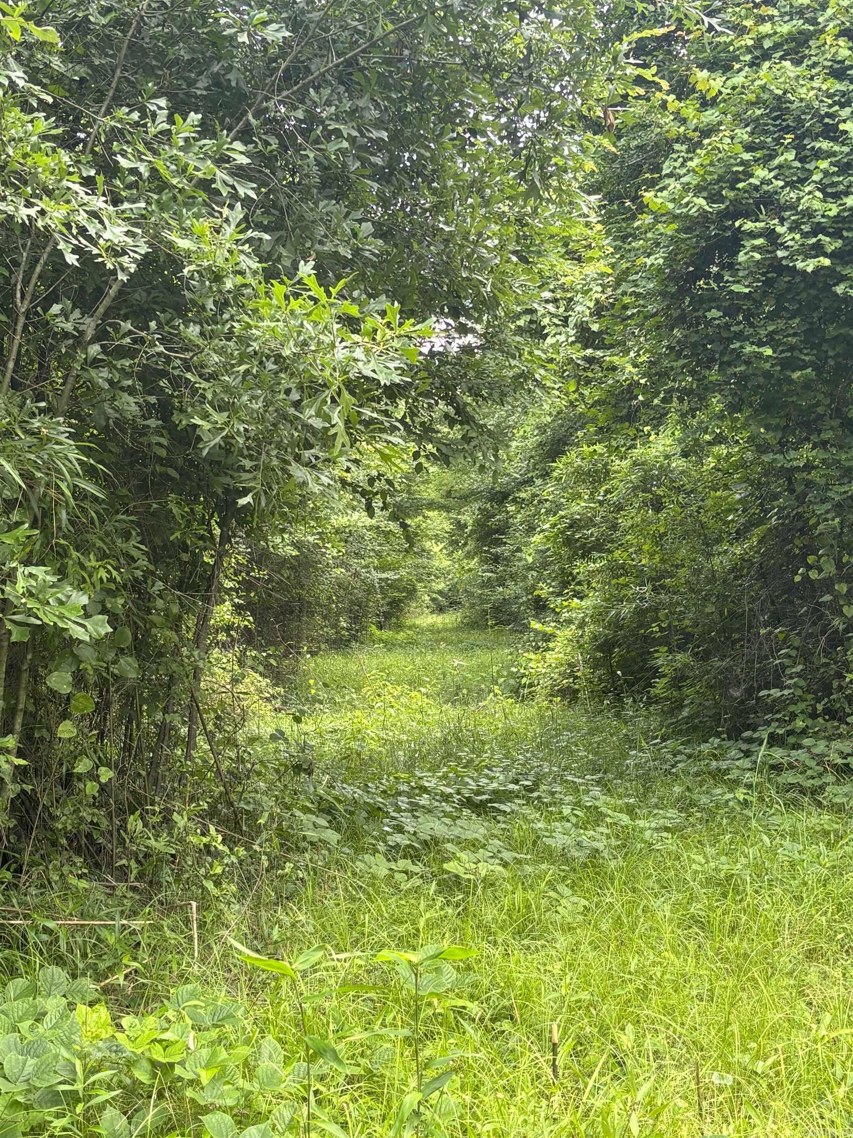 3400  US-278  Wilmar, AR