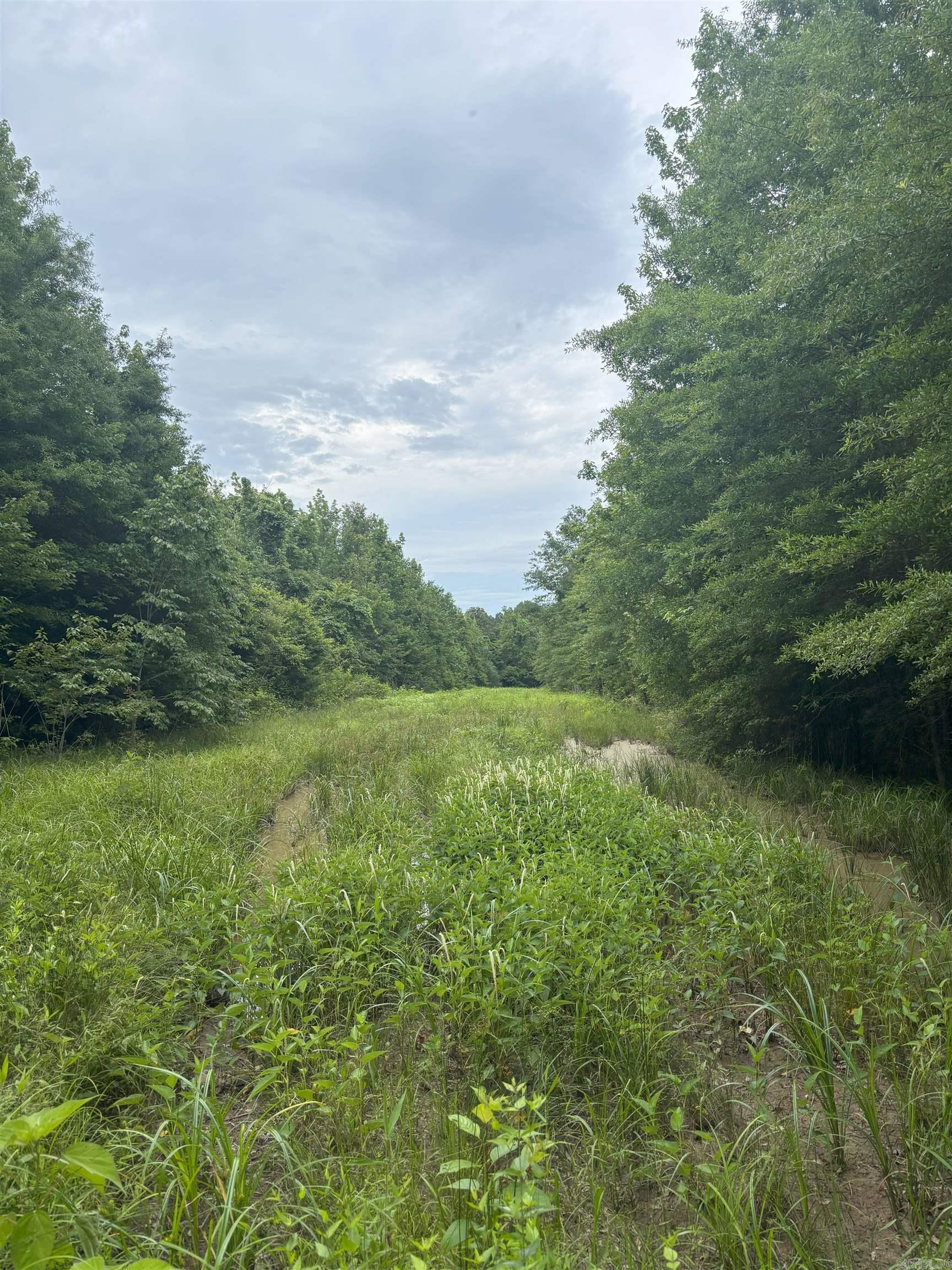 3400  US-278  Wilmar, AR