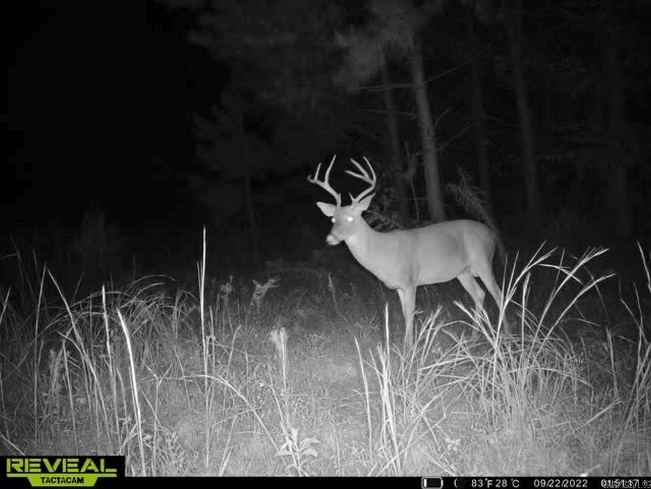3400  US-278  Wilmar, AR