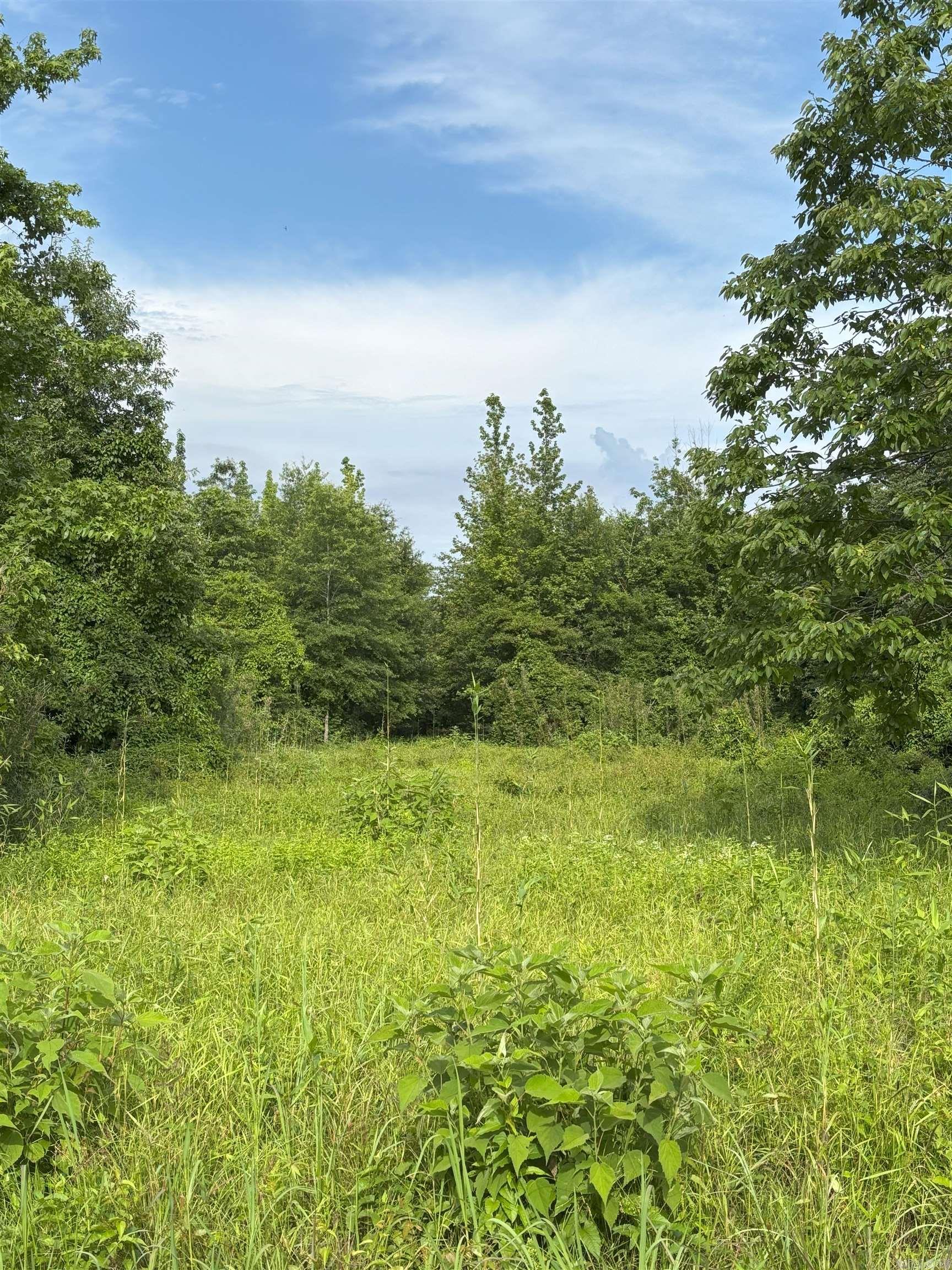 3400  US-278  Wilmar, AR
