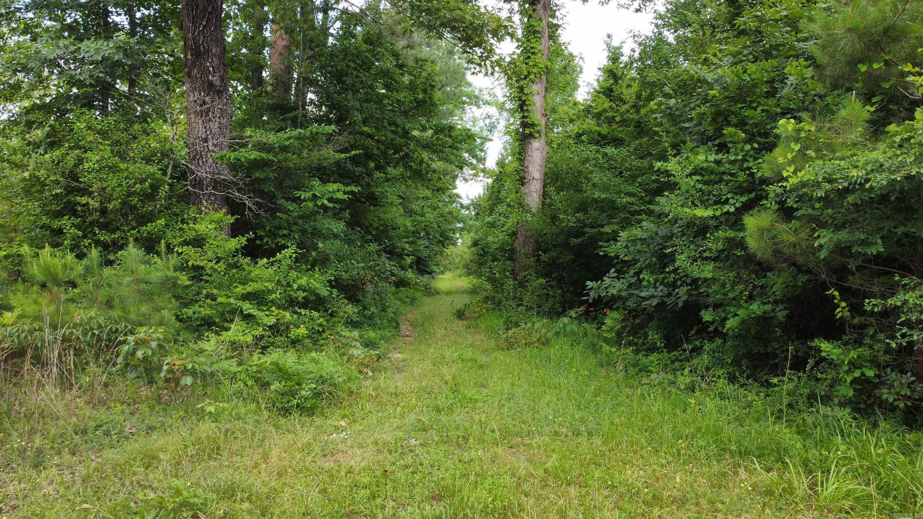 3400  US-278  Wilmar, AR