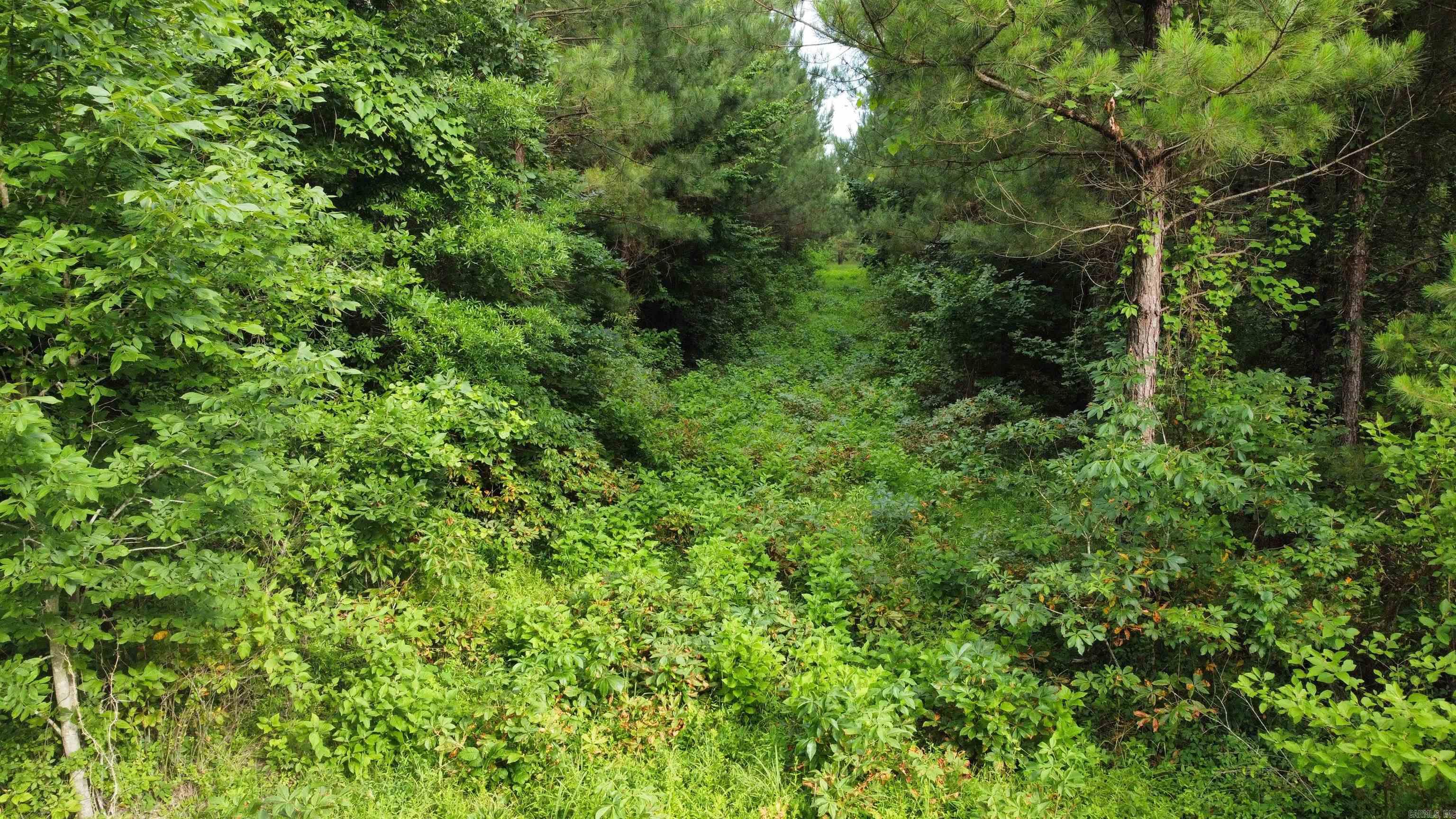 3400  US-278  Wilmar, AR