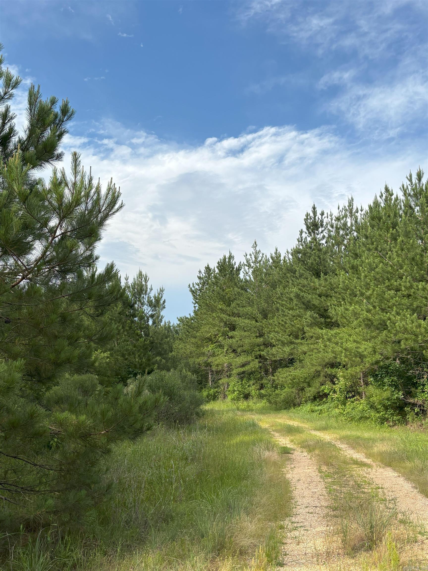 3400  US-278  Wilmar, AR