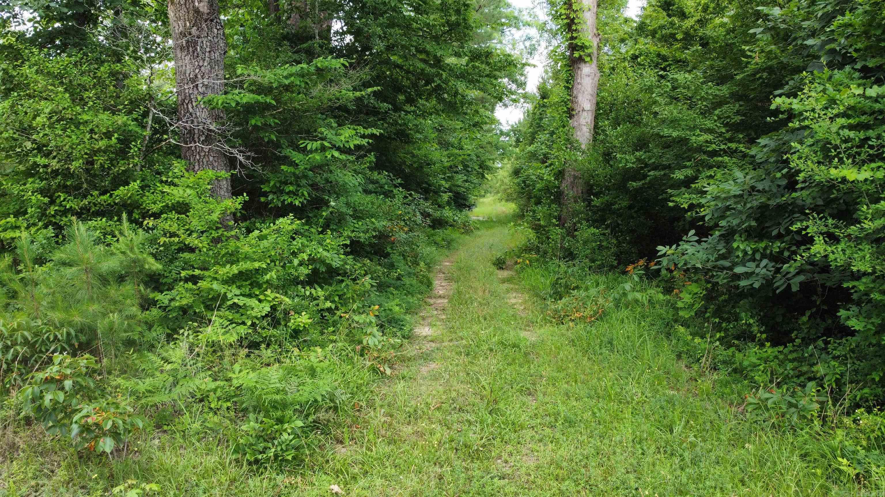 3400  US-278  Wilmar, AR