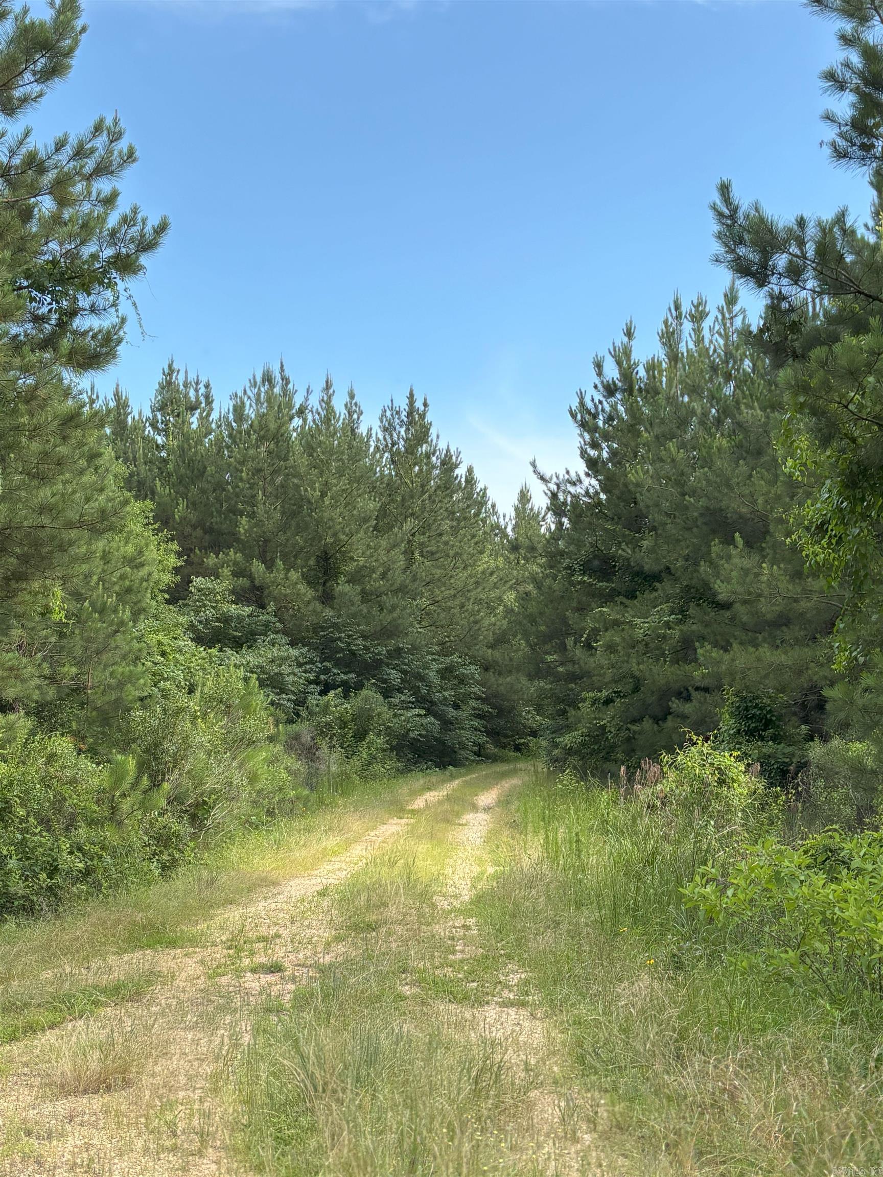 3400  US-278  Wilmar, AR