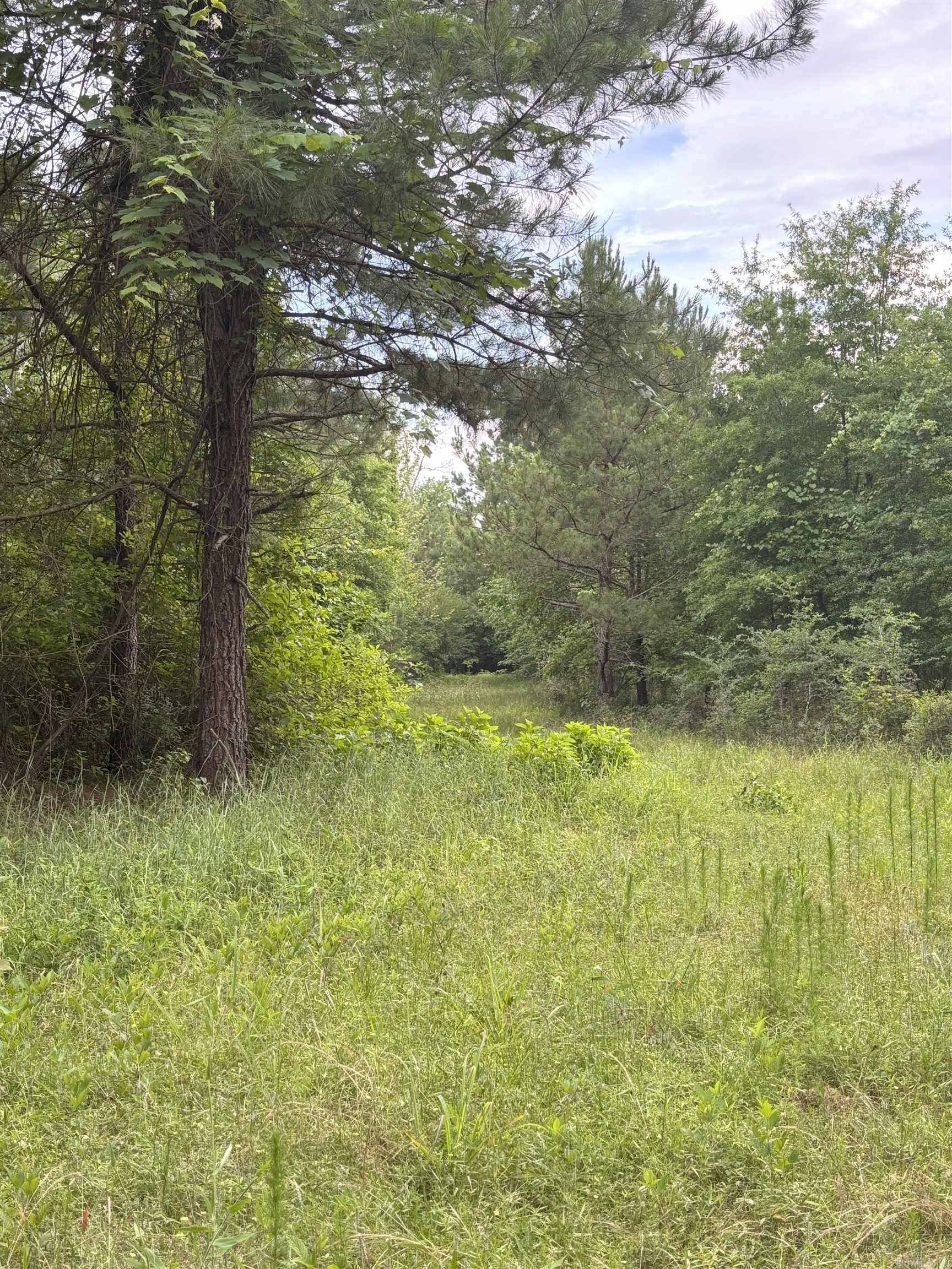 3400  US-278  Wilmar, AR