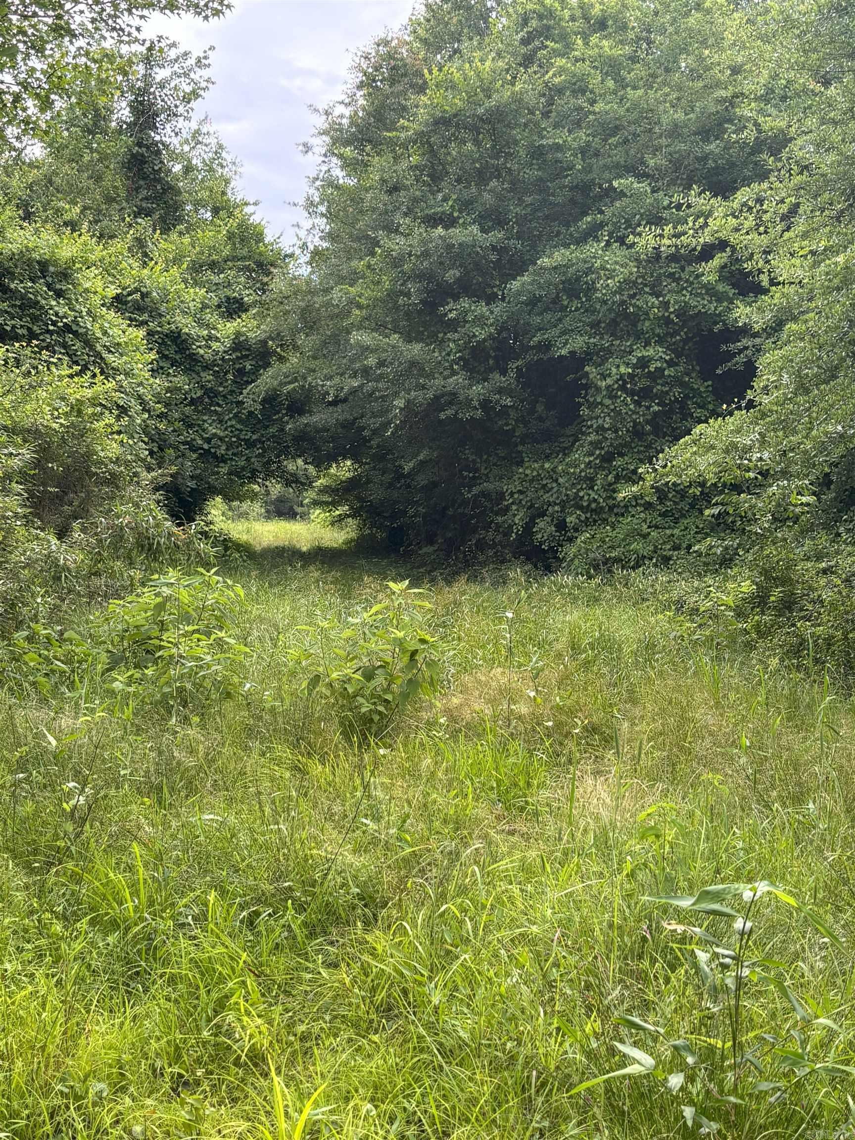 3400  US-278  Wilmar, AR