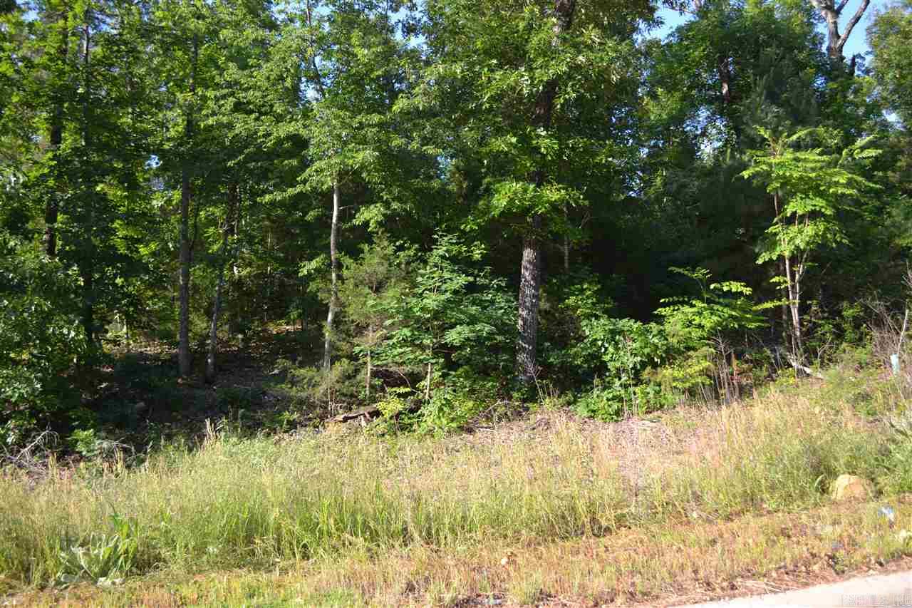 Lot 4  Knifechief  Cabot, AR