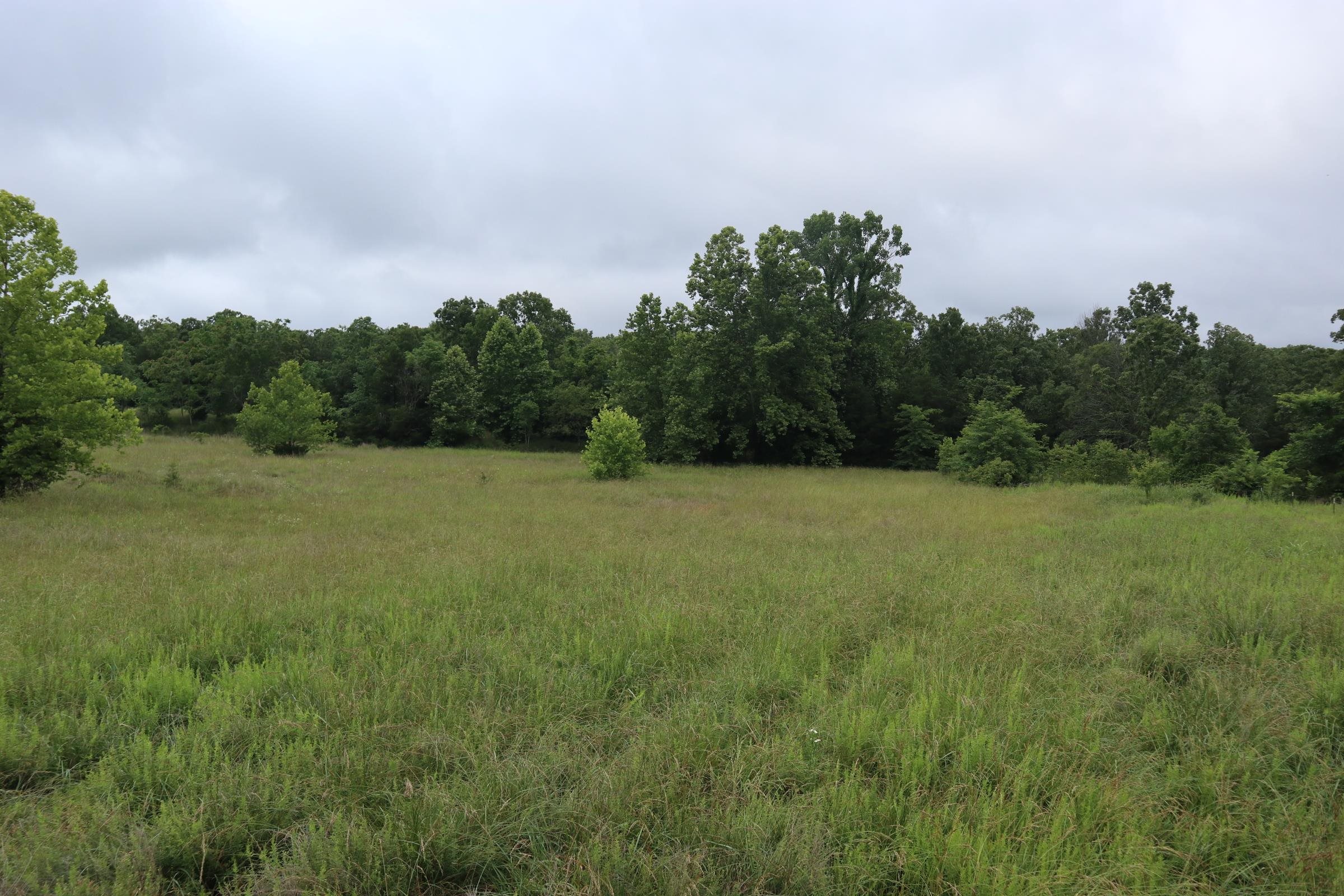 TBD  Hwy 9 S  Salem, AR