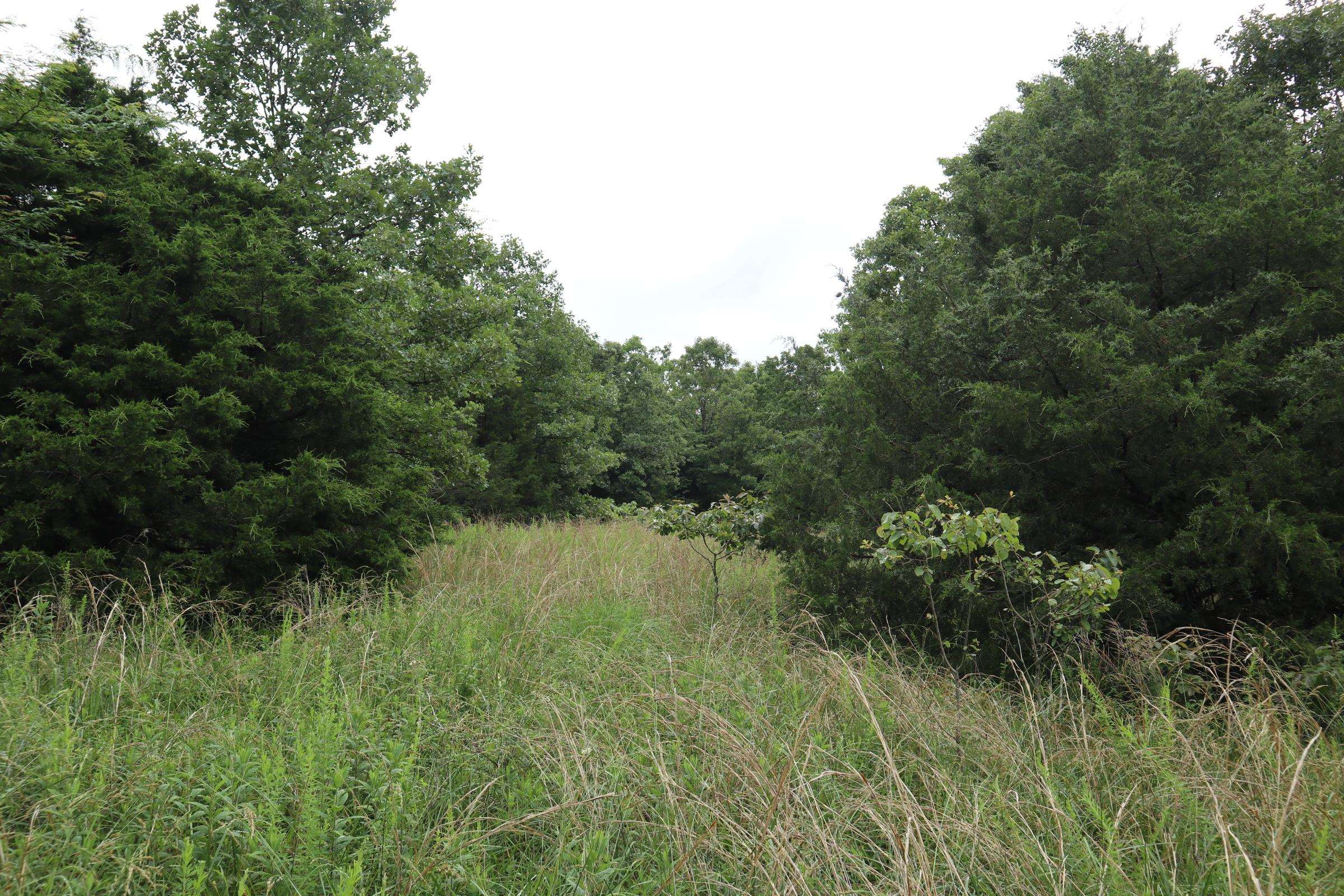 TBD  Hwy 9 S  Salem, AR