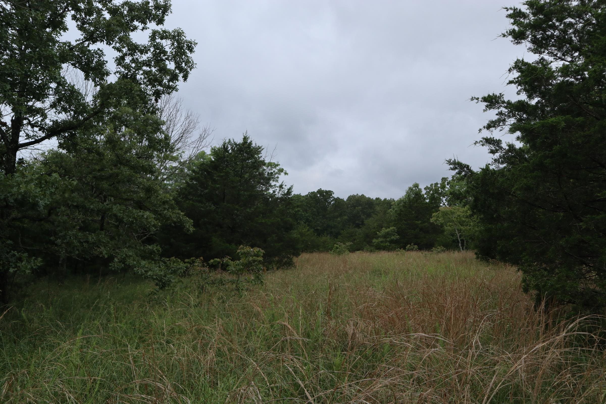 TBD  Hwy 9 S  Salem, AR