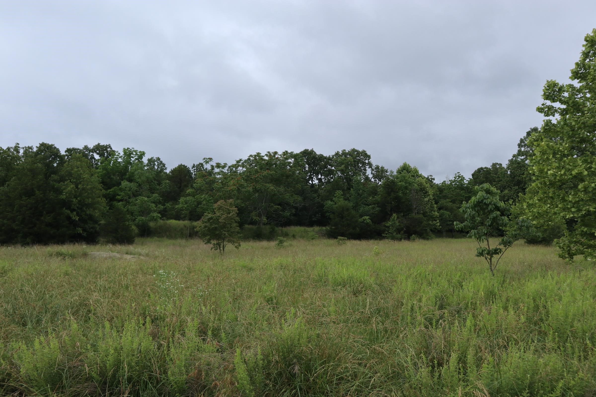 TBD  Hwy 9 S  Salem, AR