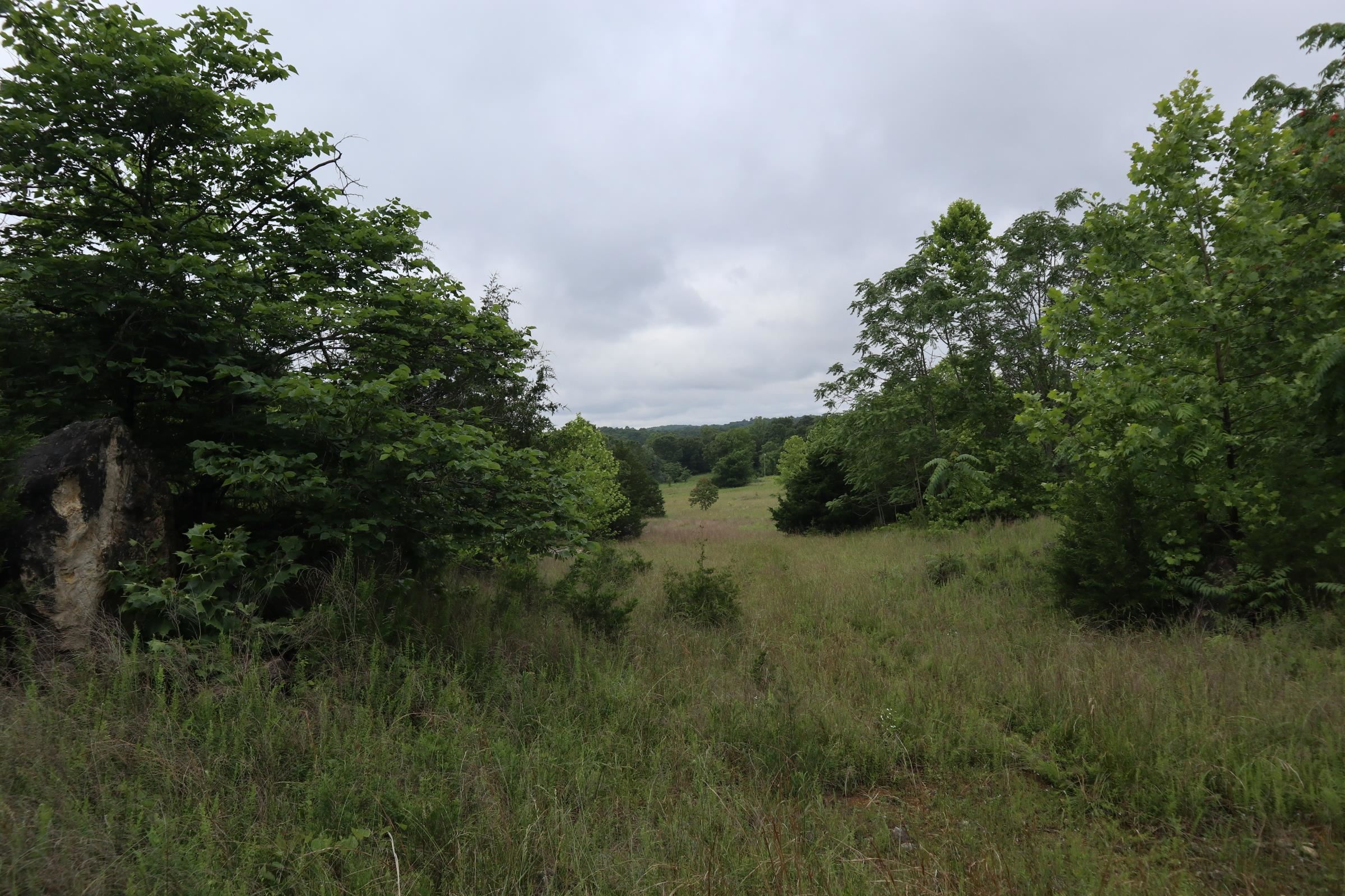 TBD  Hwy 9 S  Salem, AR