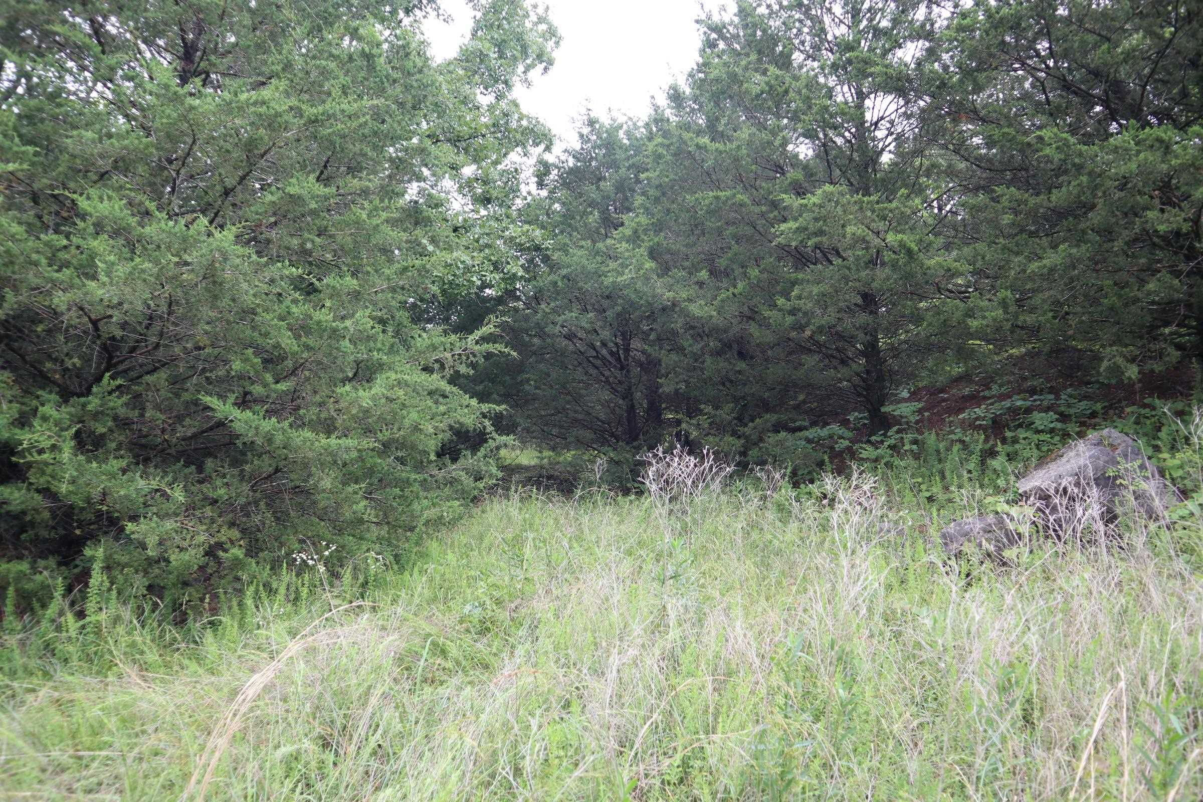 TBD  Hwy 9 S  Salem, AR