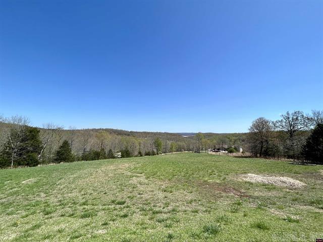 55  Oasis Lane  Gamaliel, AR