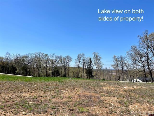 55  Oasis Lane  Gamaliel, AR