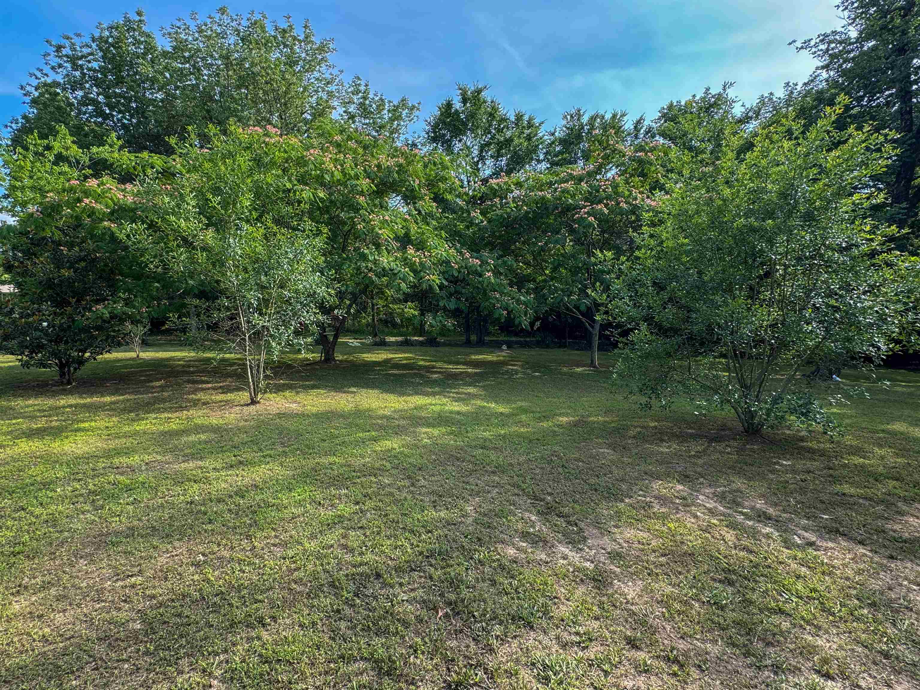 103  Yasmine Ln  Cave City, AR