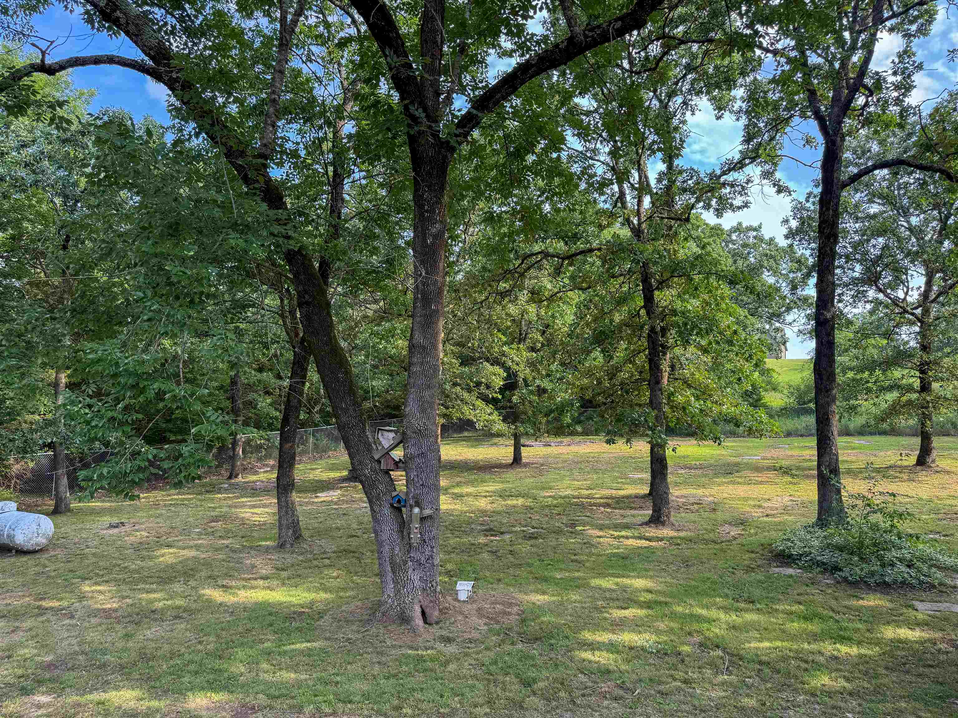 103  Yasmine Ln  Cave City, AR