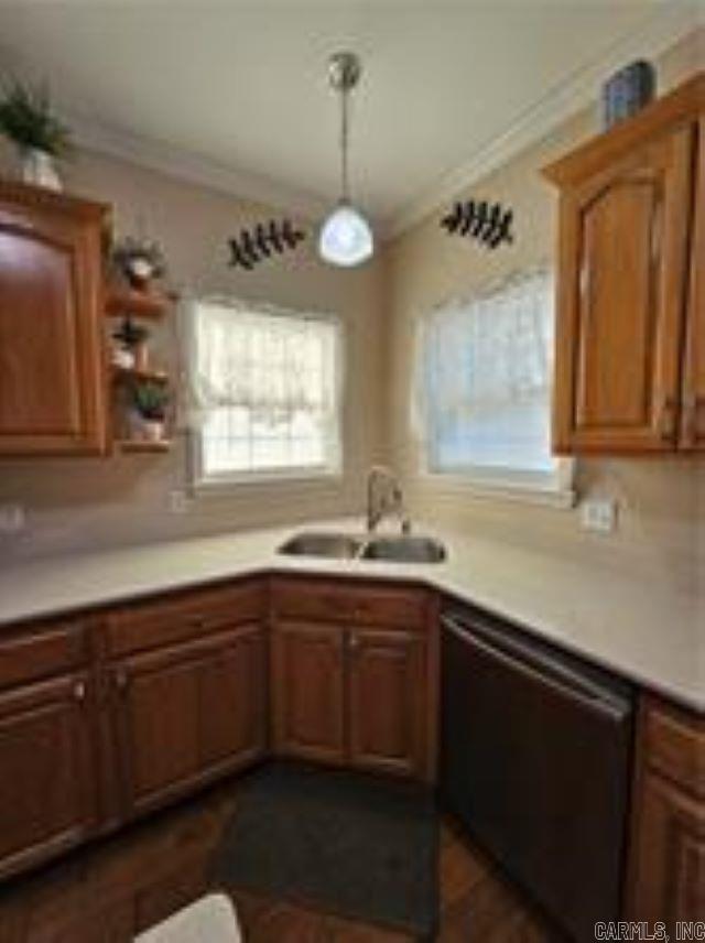 212  Walleye  Russellville, AR