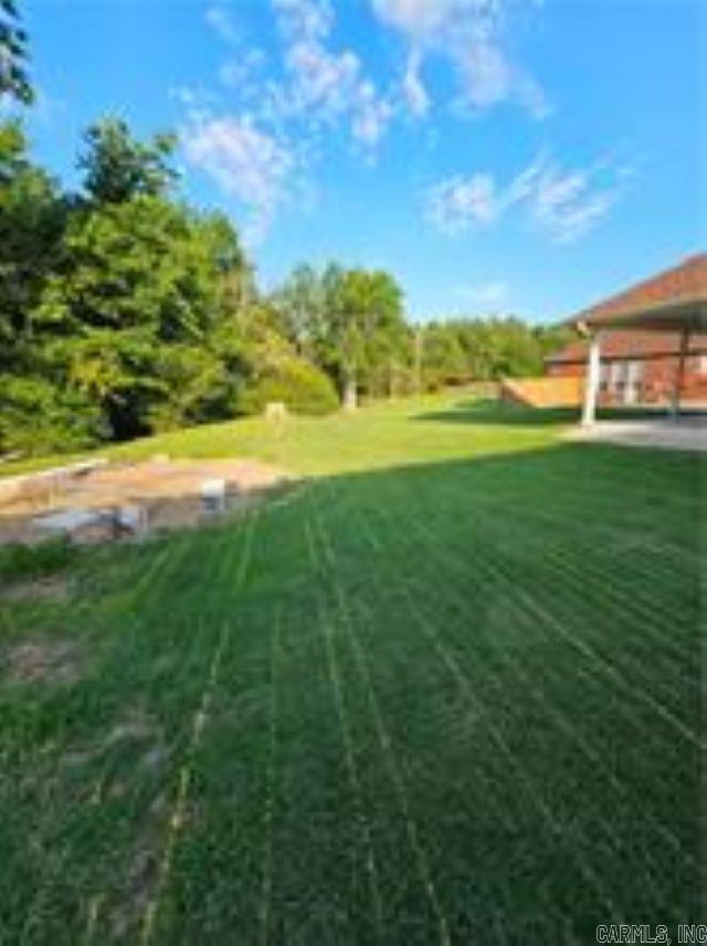 212  Walleye  Russellville, AR