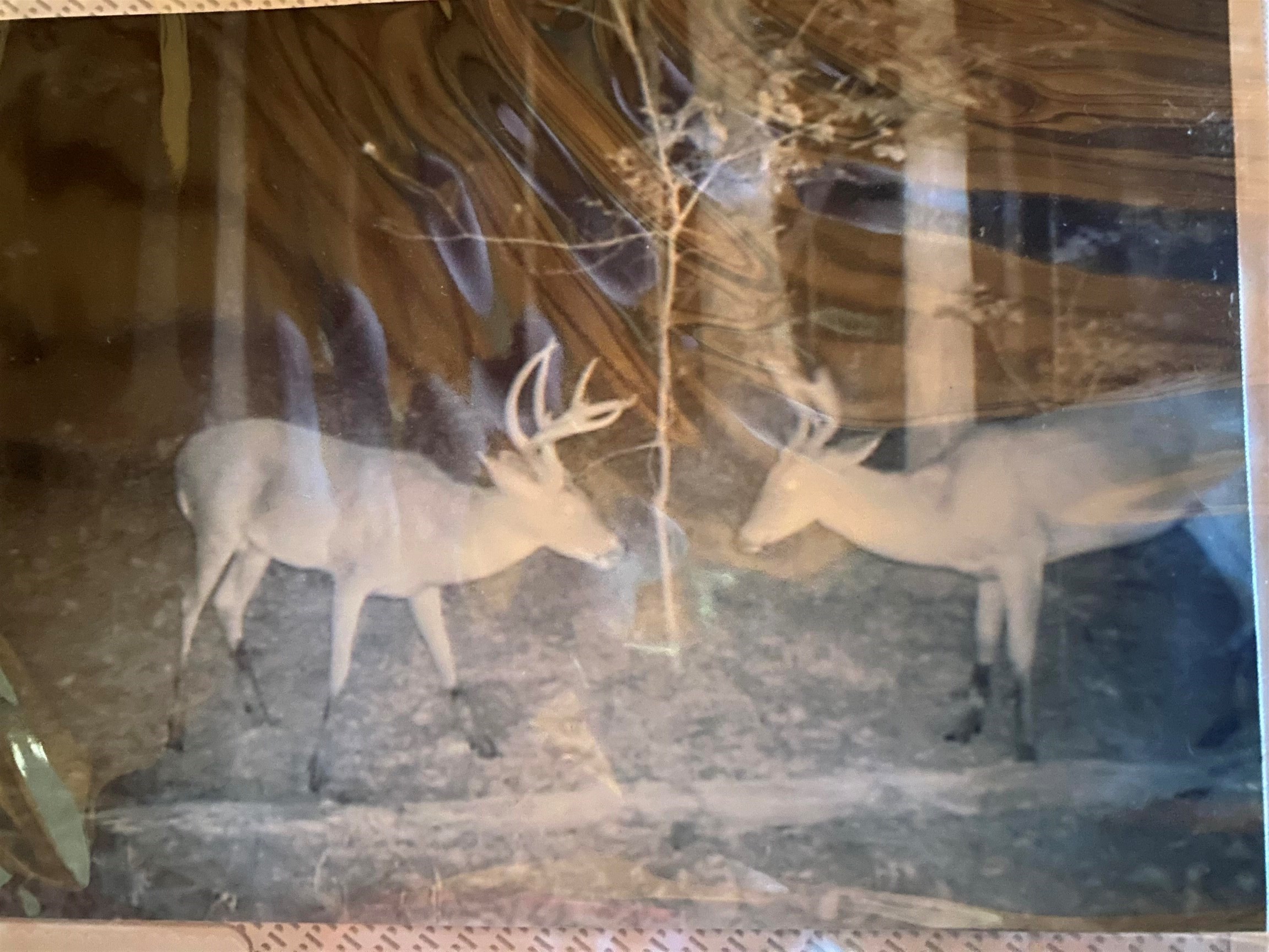 2933  Highway 163 2933 hwy 163 Cherry Valley, AR