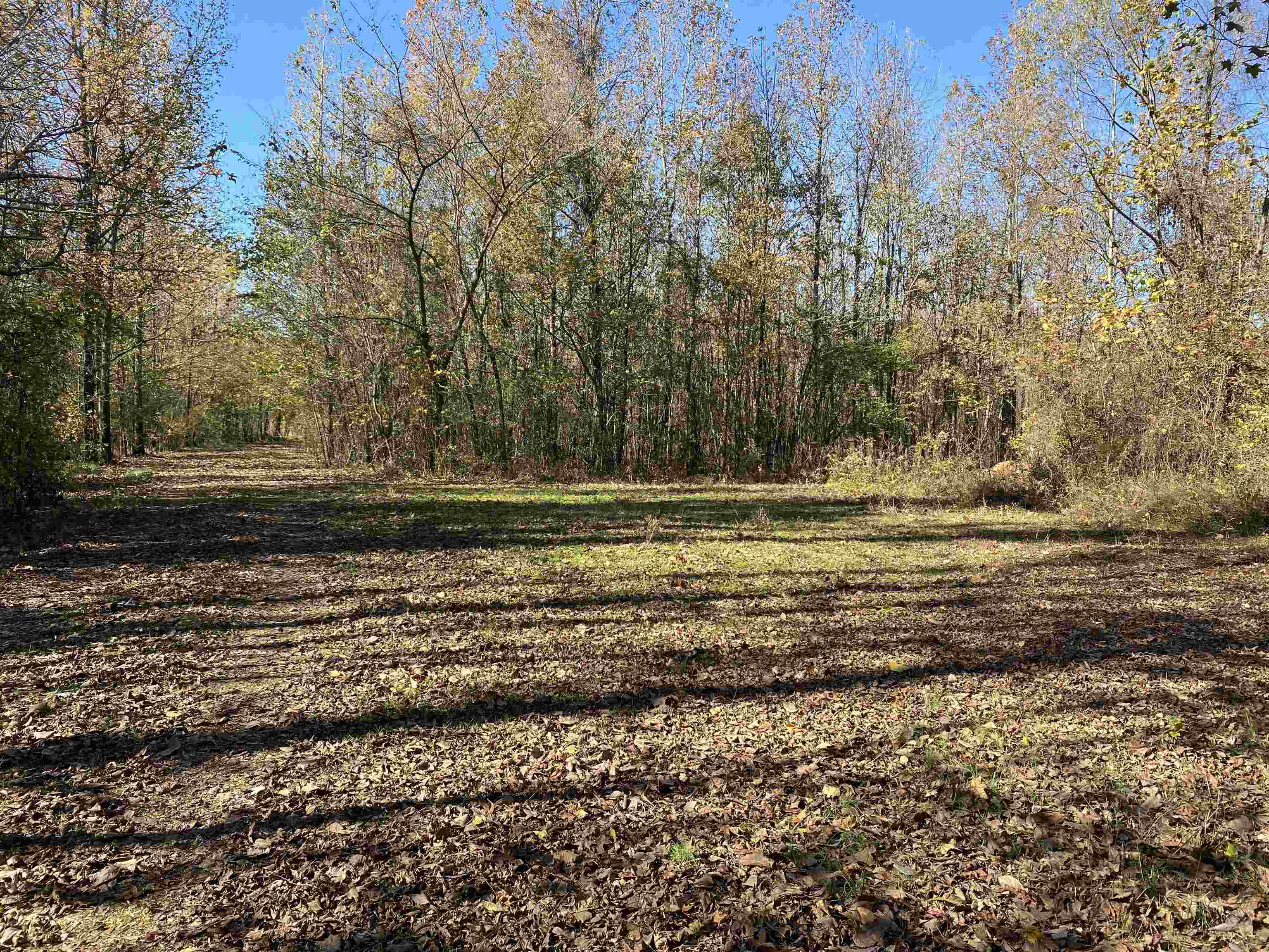 2933  Highway 163 2933 hwy 163 Cherry Valley, AR