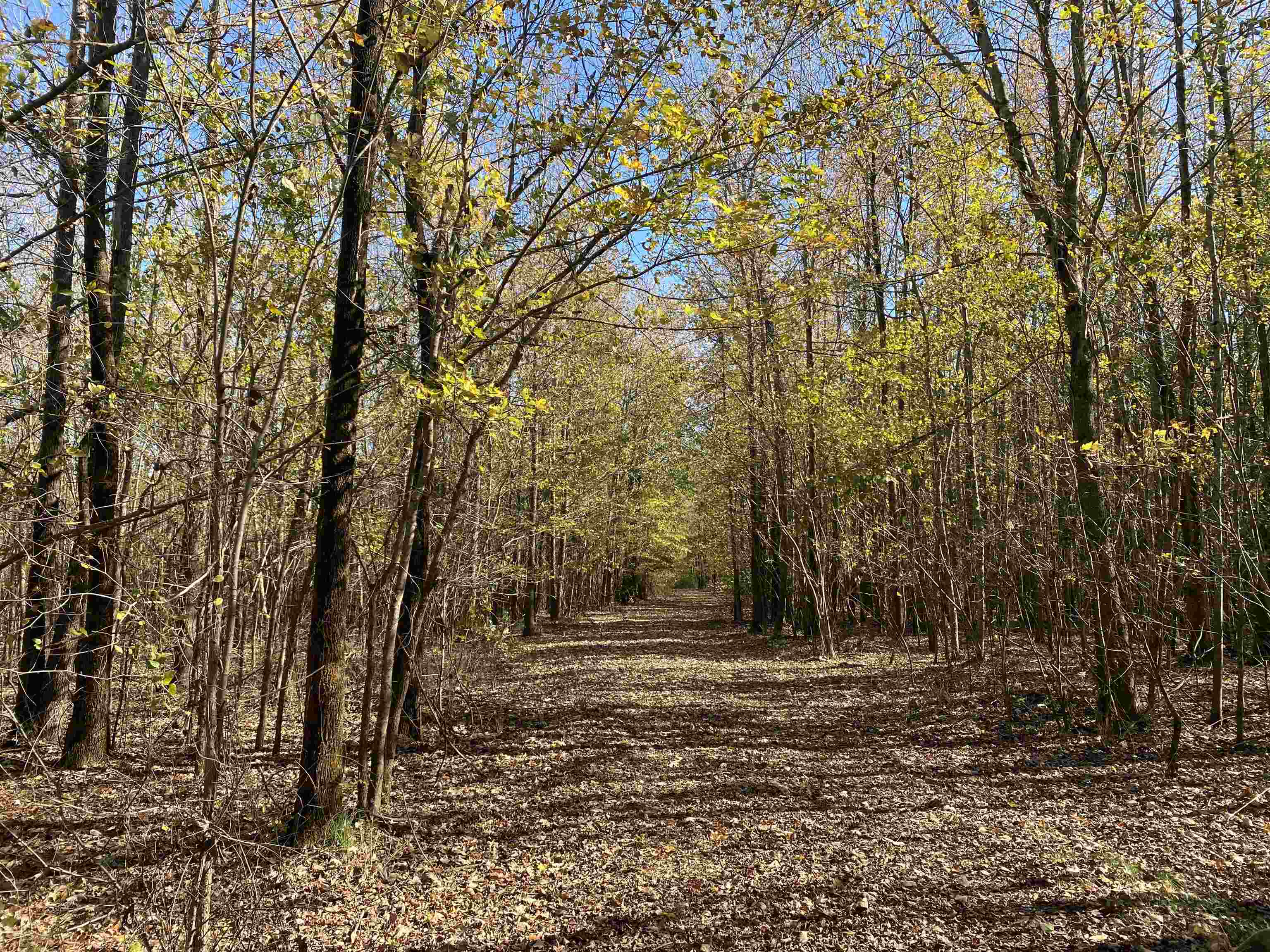 2933  Highway 163 2933 hwy 163 Cherry Valley, AR