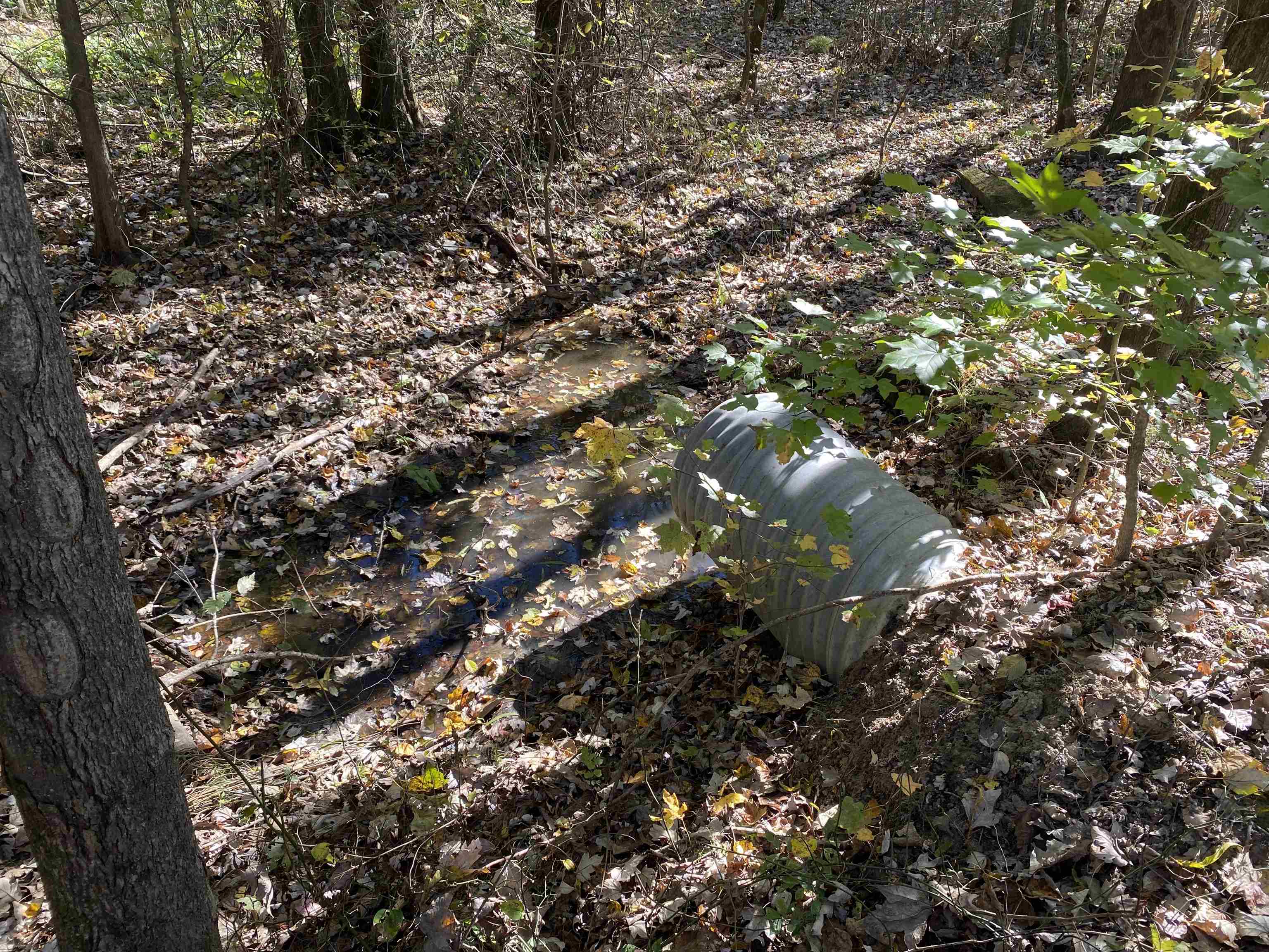 2933  Highway 163 2933 hwy 163 Cherry Valley, AR