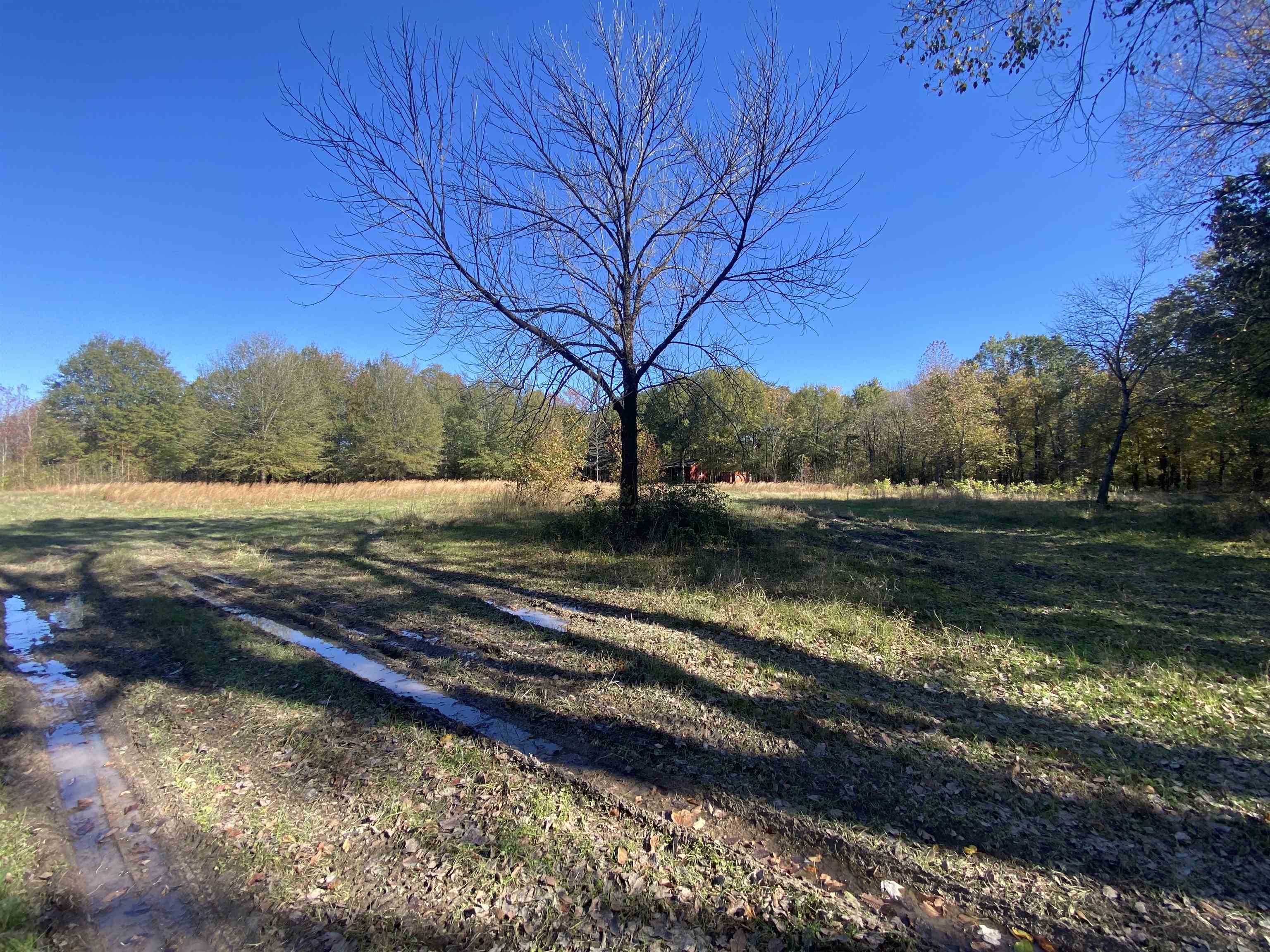 2933  Highway 163 2933 hwy 163 Cherry Valley, AR