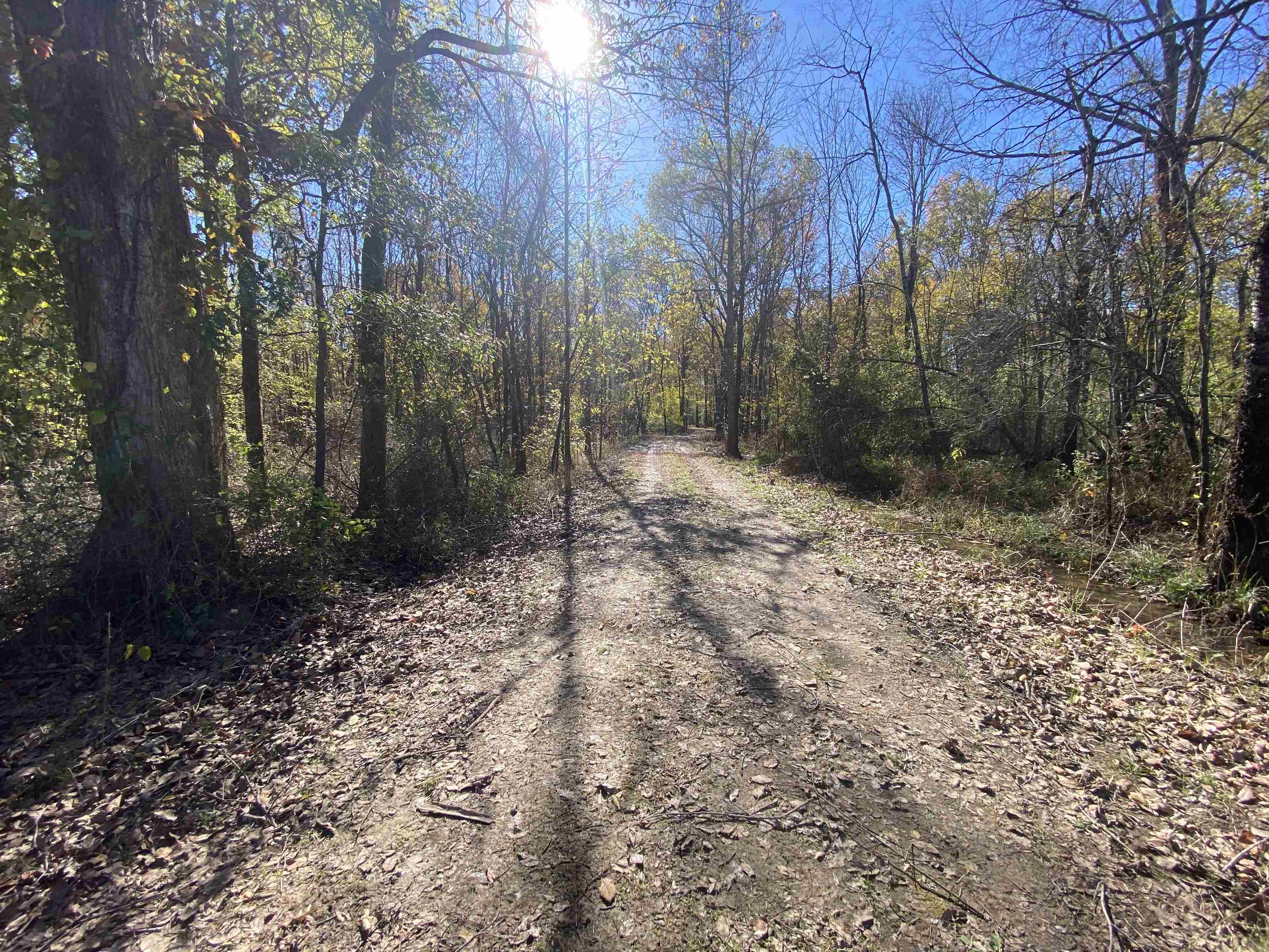 2933  Highway 163 2933 hwy 163 Cherry Valley, AR