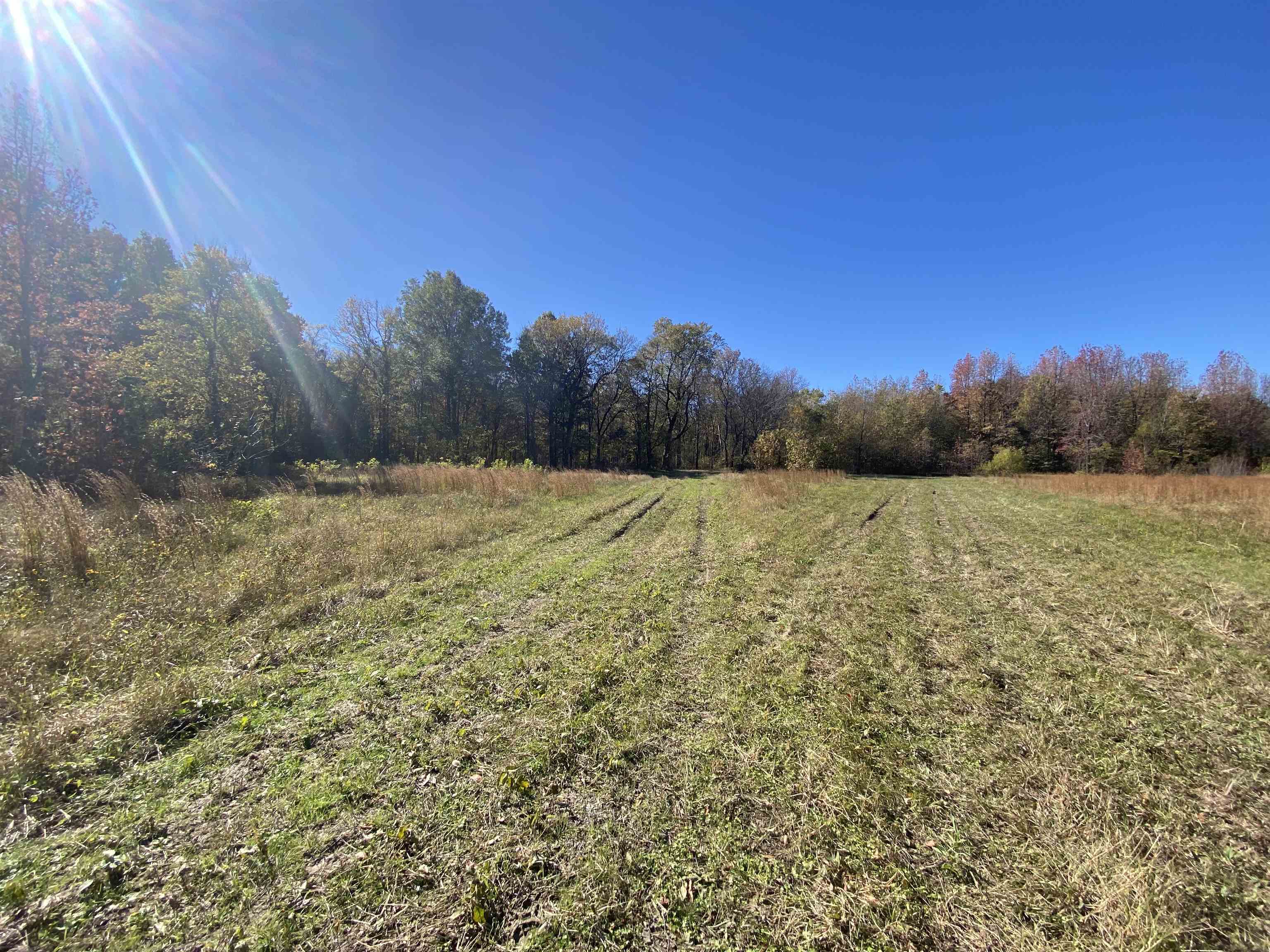 2933  Highway 163 2933 hwy 163 Cherry Valley, AR