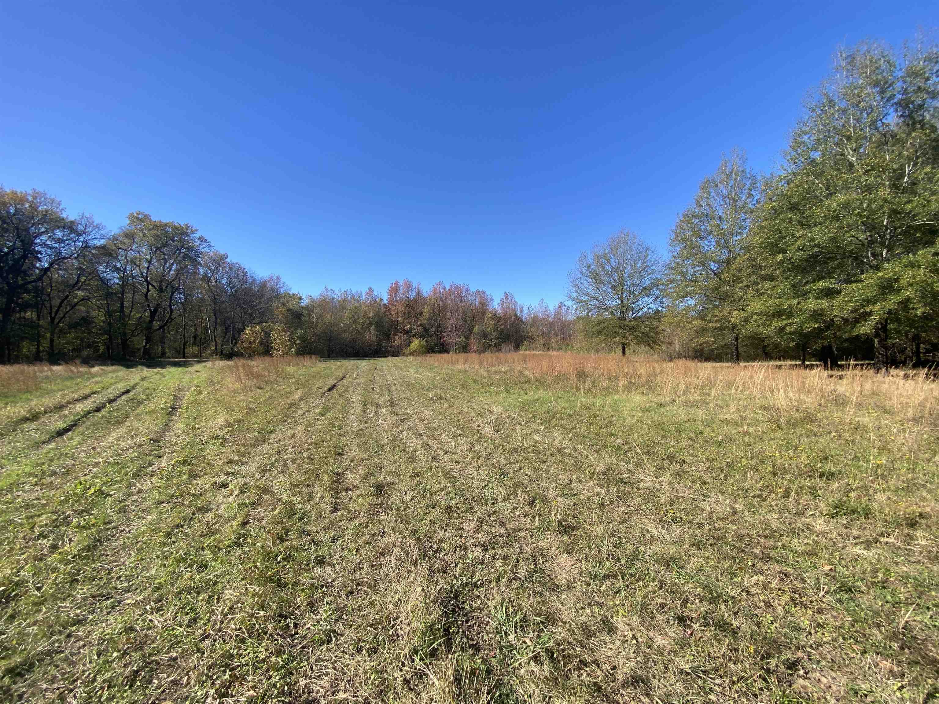 2933  Highway 163 2933 hwy 163 Cherry Valley, AR