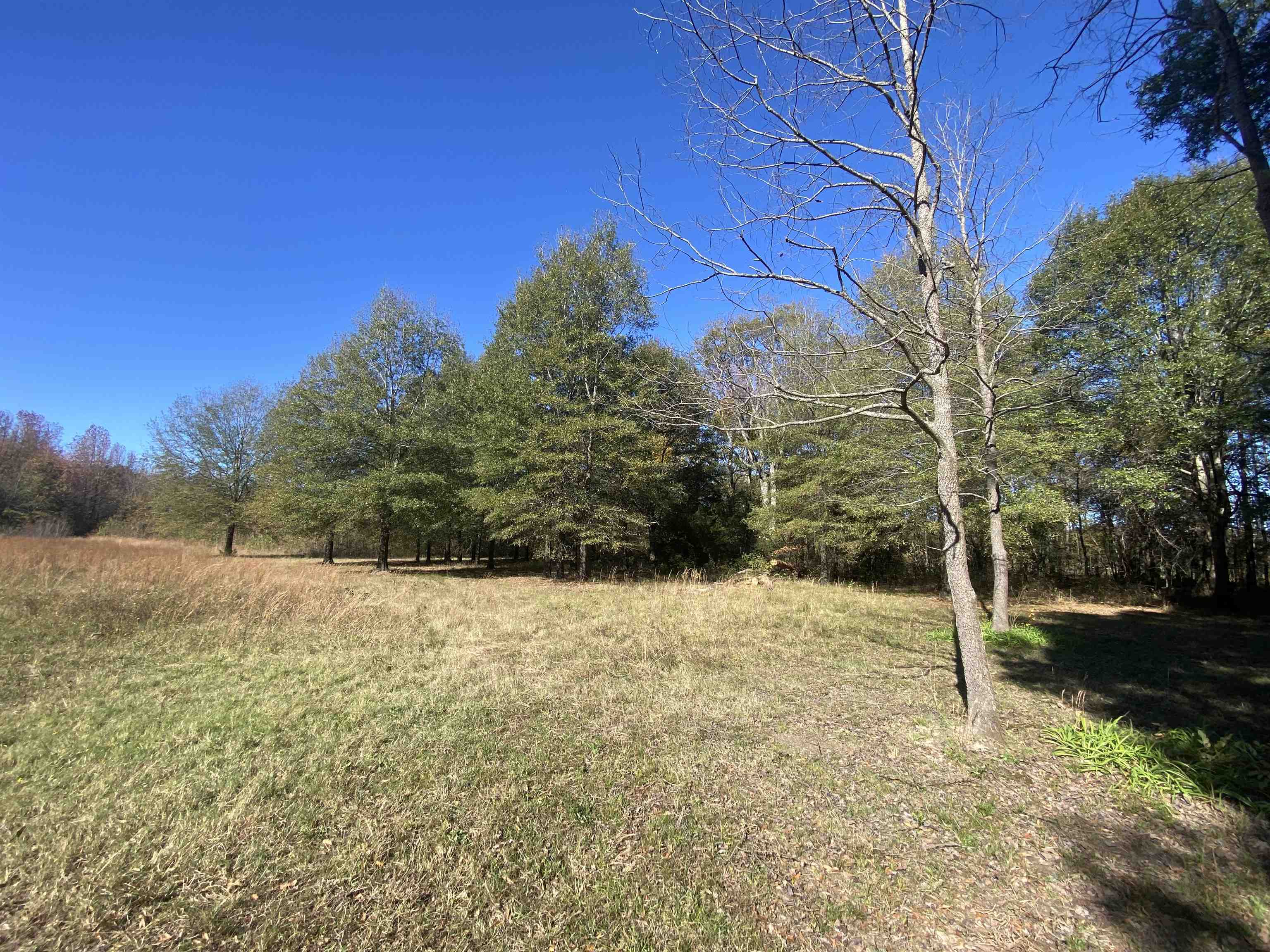 2933  Highway 163 2933 hwy 163 Cherry Valley, AR