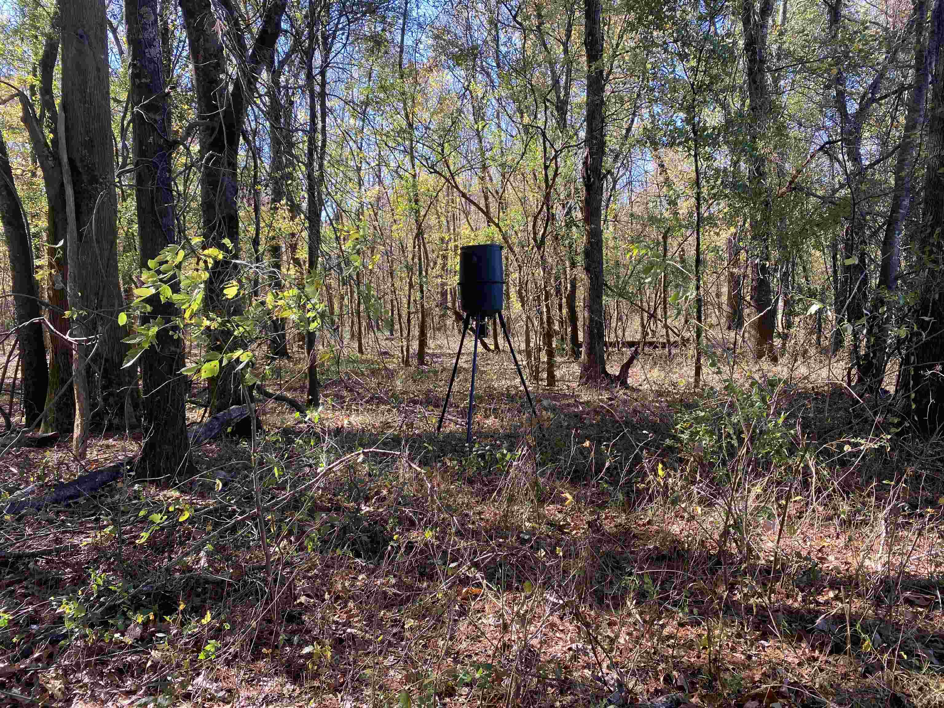 2933  Highway 163 2933 hwy 163 Cherry Valley, AR