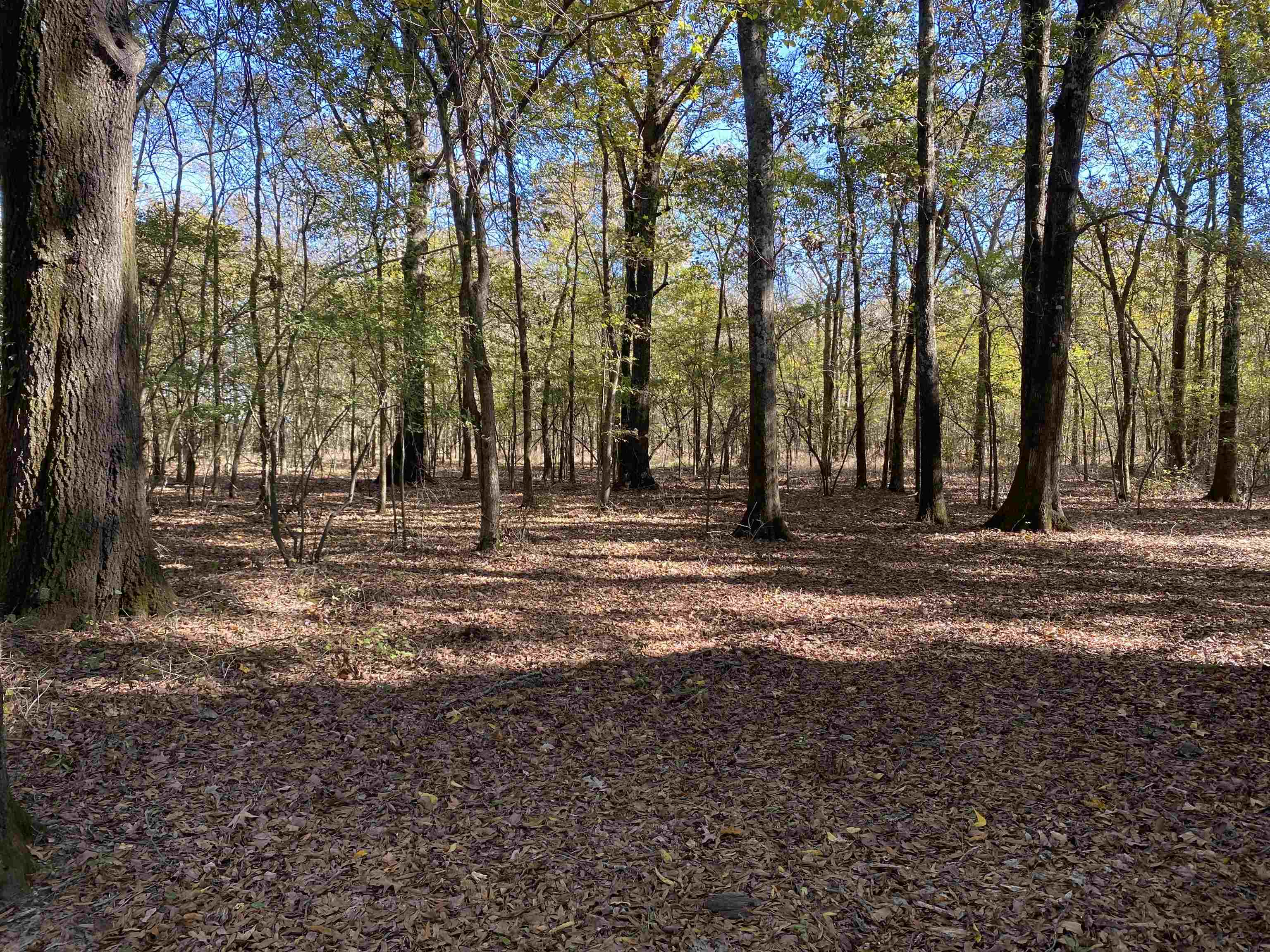 2933  Highway 163 2933 hwy 163 Cherry Valley, AR
